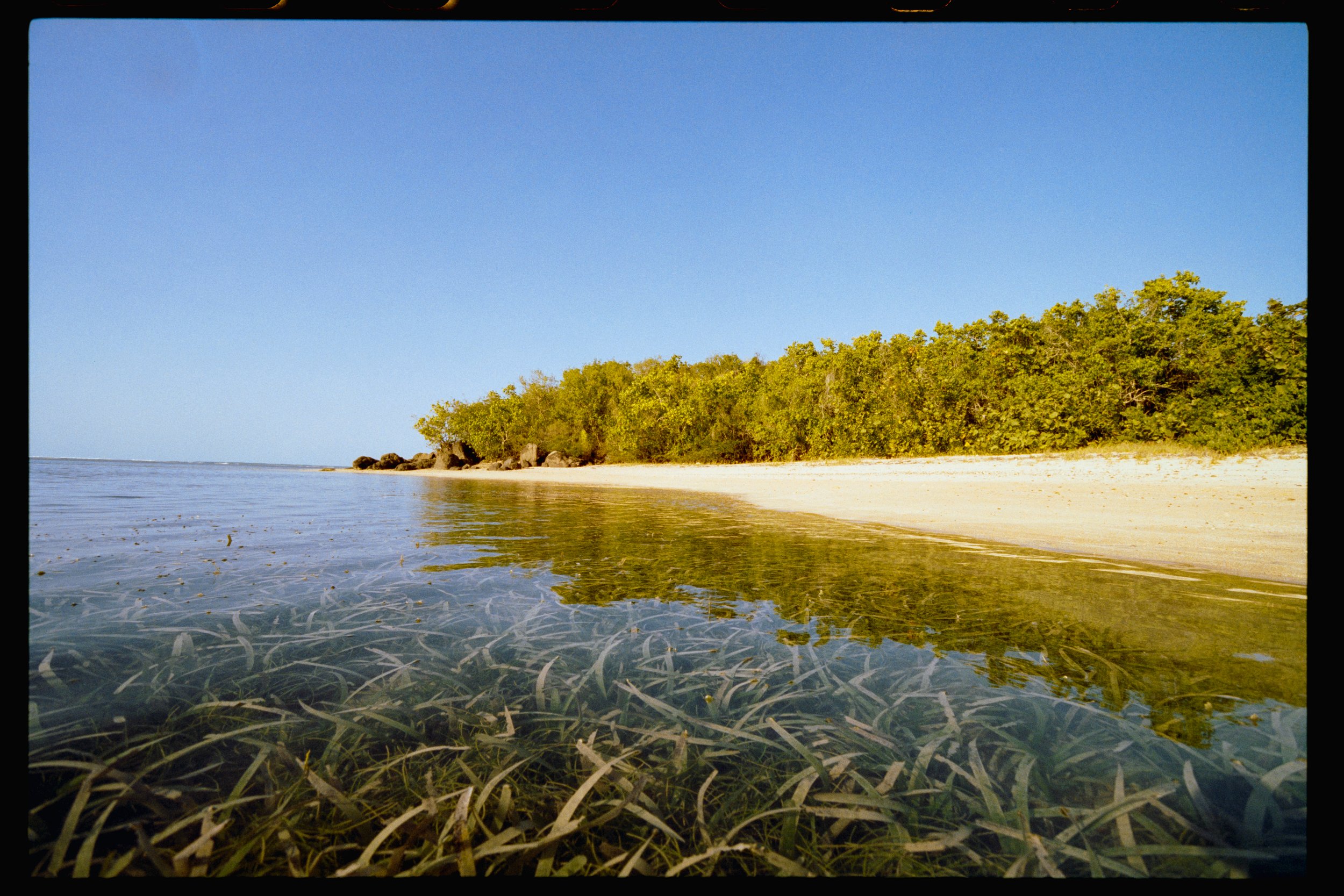 A calm beach scene with clear shallow water, a sandy shore, and lush green trees under a bright blue sky.