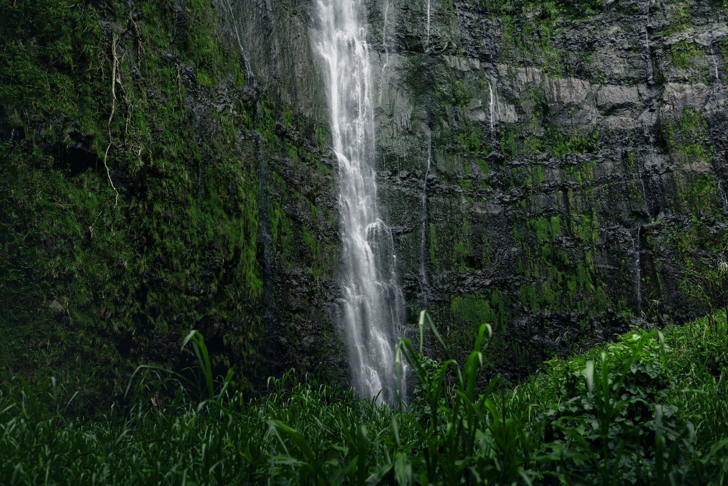 A waterfall cascading down a steep, rocky cliff surrounded by lush green vegetation.