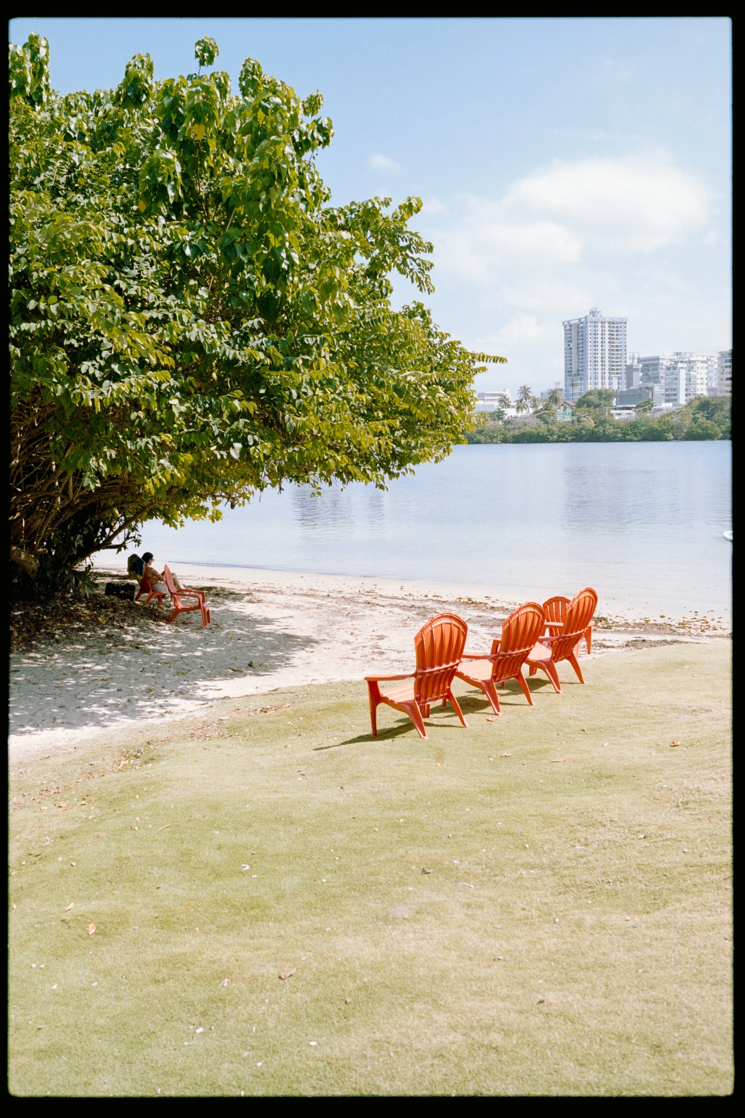 Beach scene with green trees, red chairs, a person sitting in a chair near the water, and city skyline with tall buildings in the background.