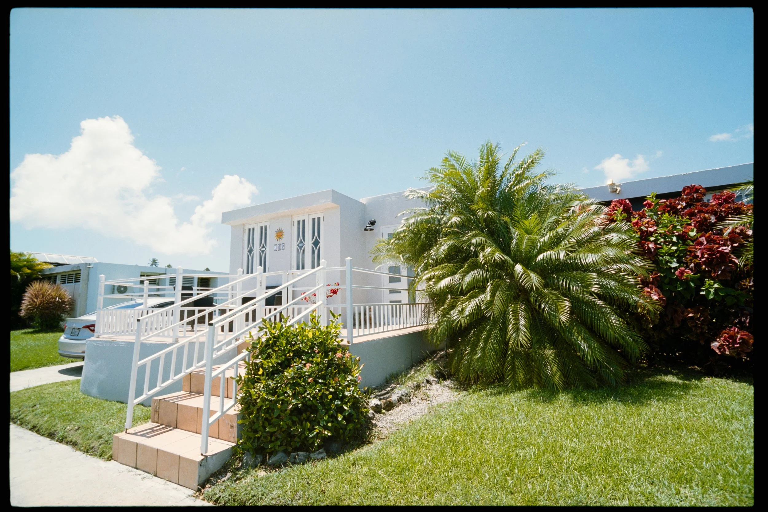 A white building with a staircase leading up to the entrance, surrounded by greenery including a large palm and flowering bushes, under a bright blue sky with some clouds.