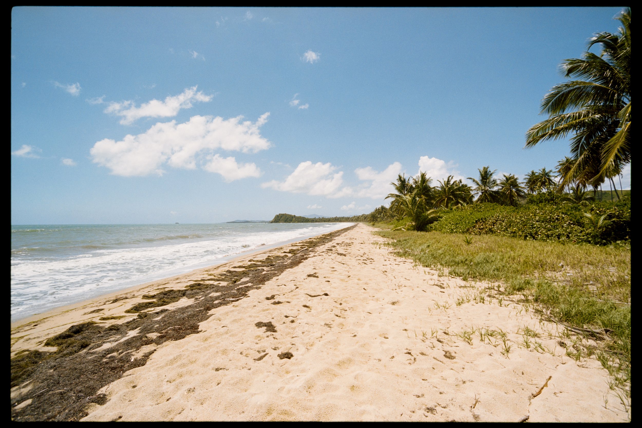 A sandy beach with scattered dark rocks, green grass, palm trees, and a clear blue sky with some white clouds.