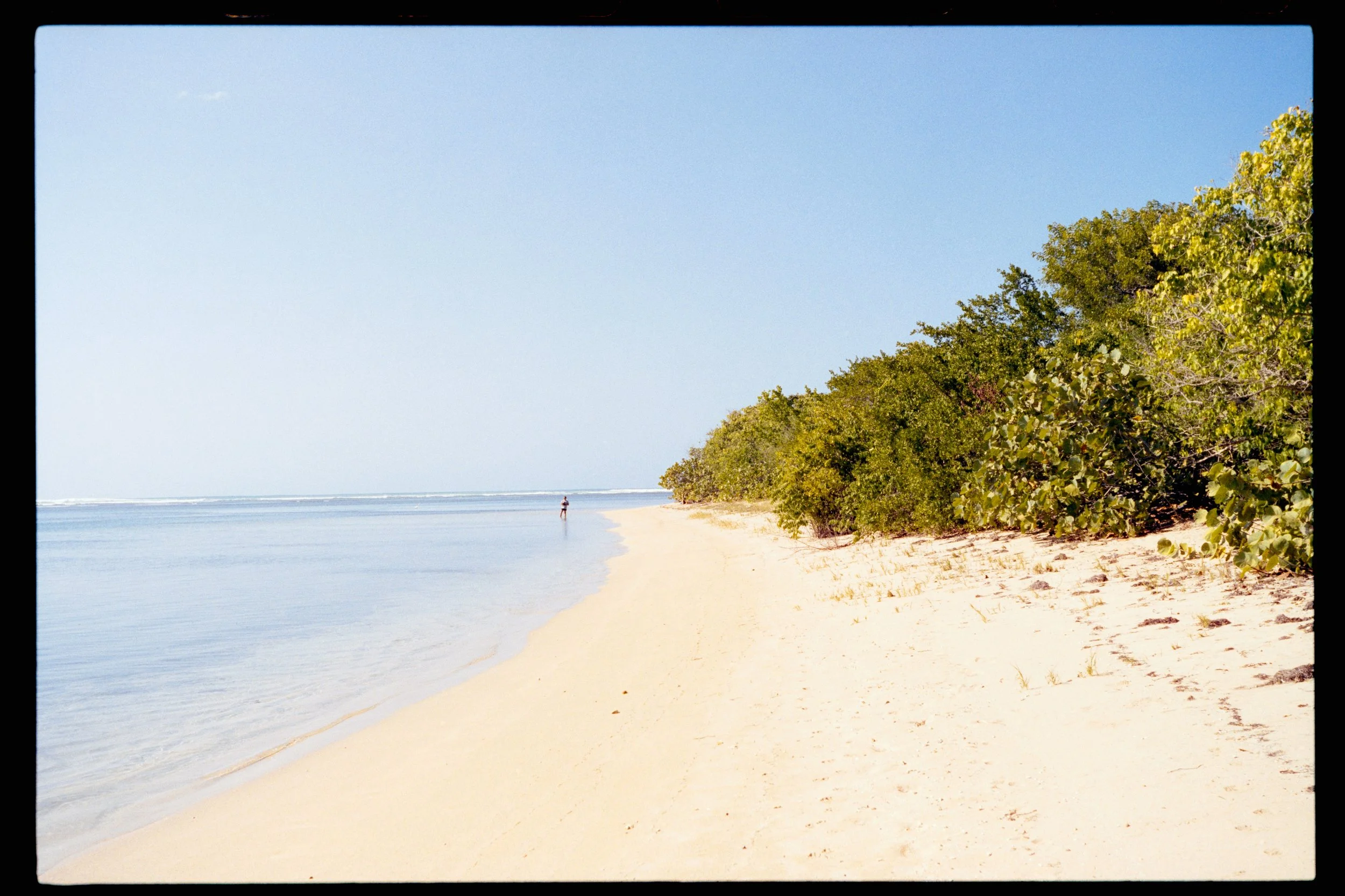 Sandy beach shoreline with a person walking in the distance, dense green trees on the right, calm ocean waves, and a clear blue sky.