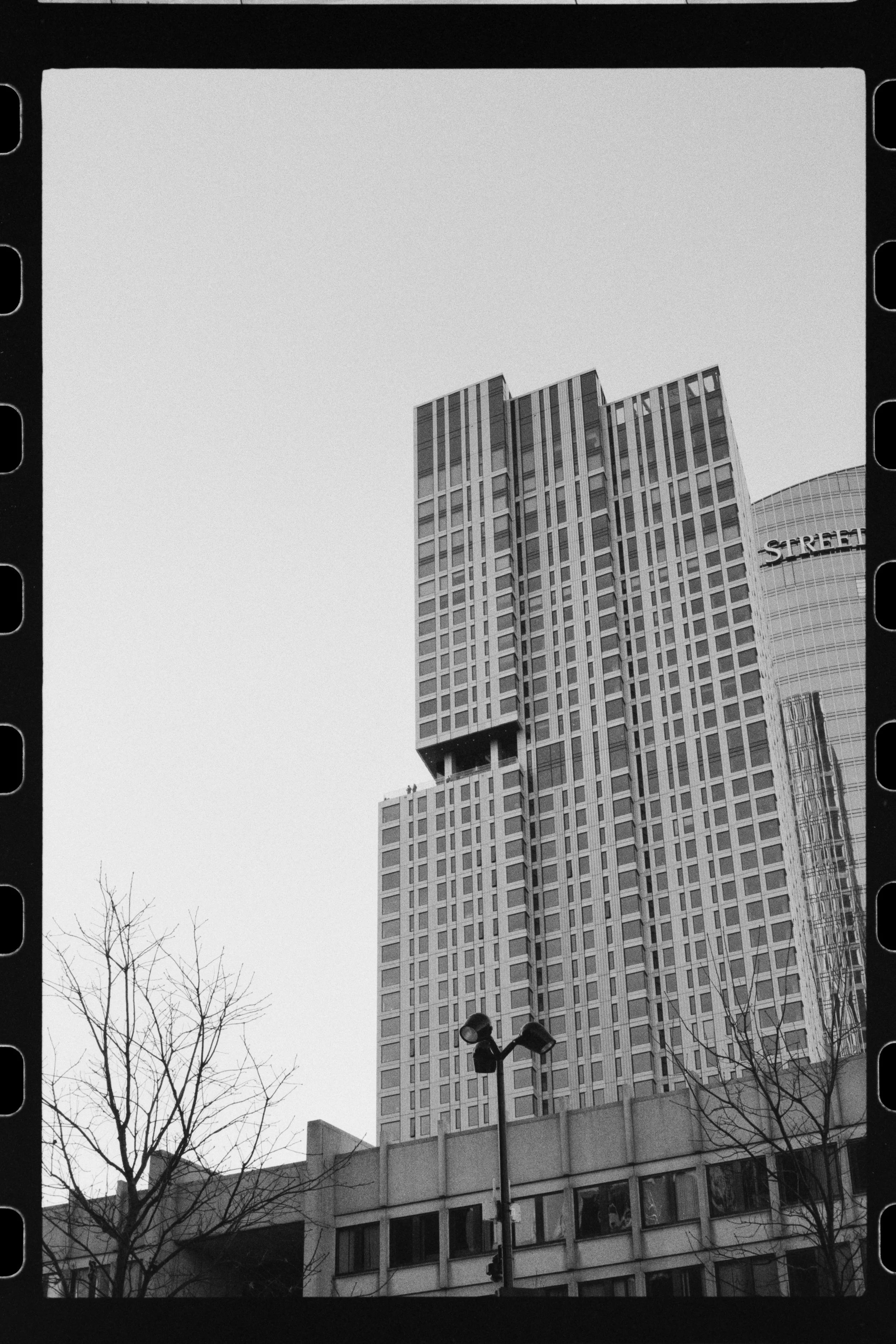 Black and white photo of a modern high-rise building with glass and concrete exterior, a leafless tree in the foreground, and street lamps, taken from a low angle.