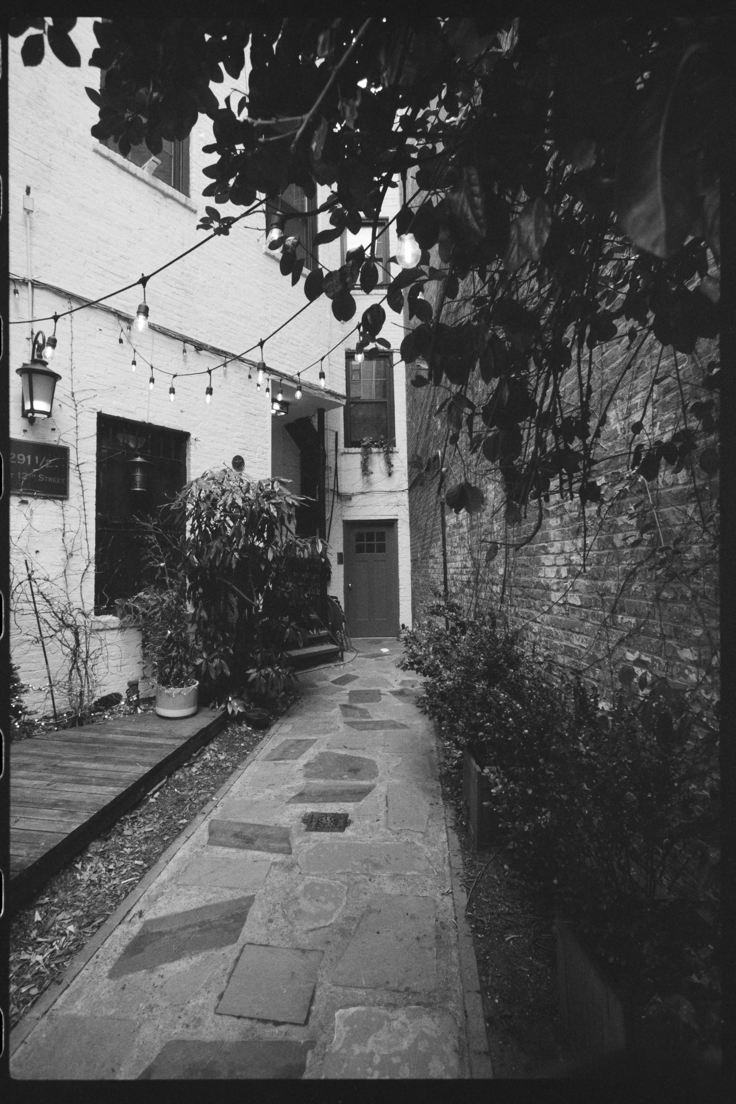A narrow alleyway with a stone pathway bordered by plants and a brick wall on one side and a white brick building with string lights hanging above. The alley leads to a door at the end.