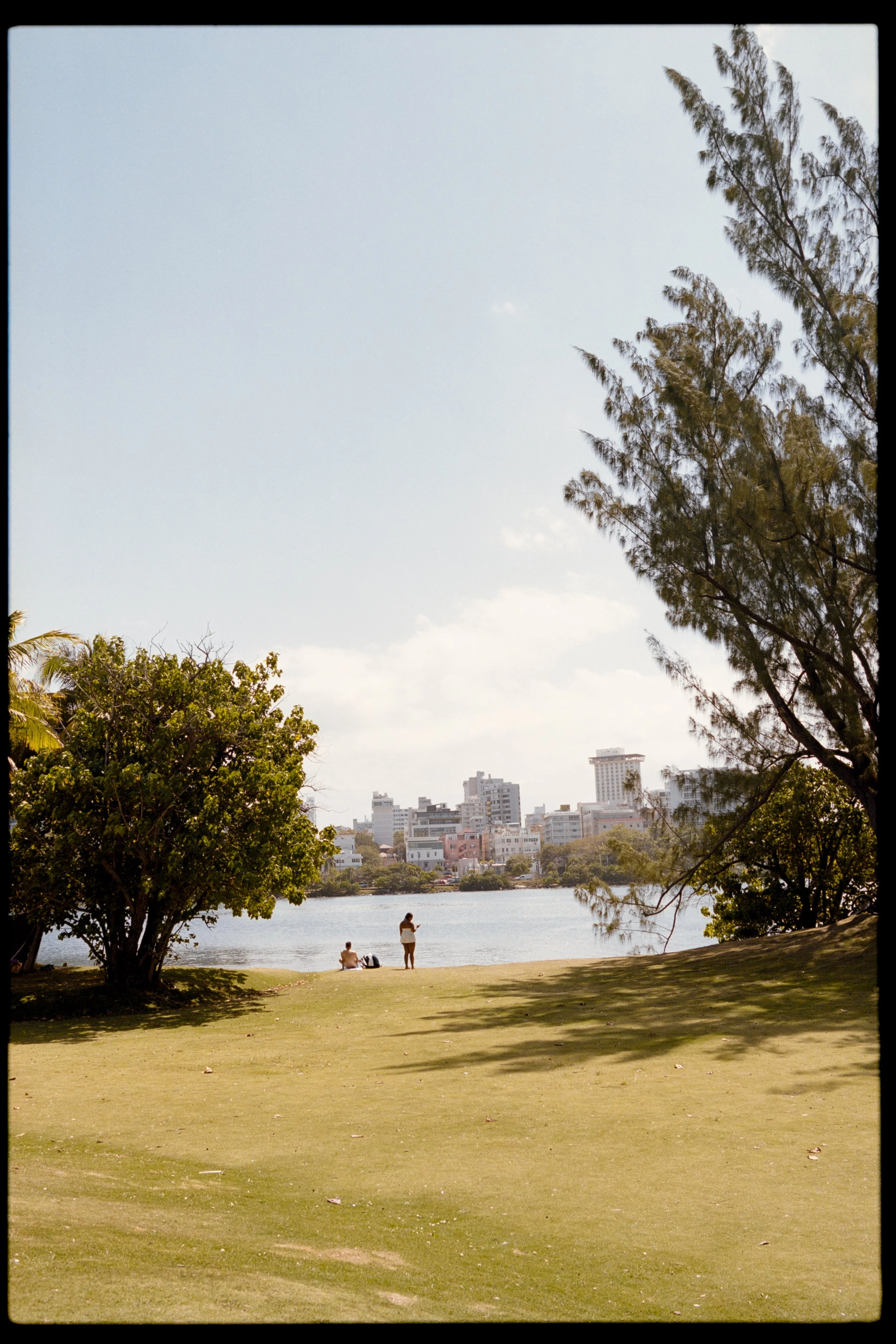 People sitting and standing by a river under trees with a cityscape in the background.