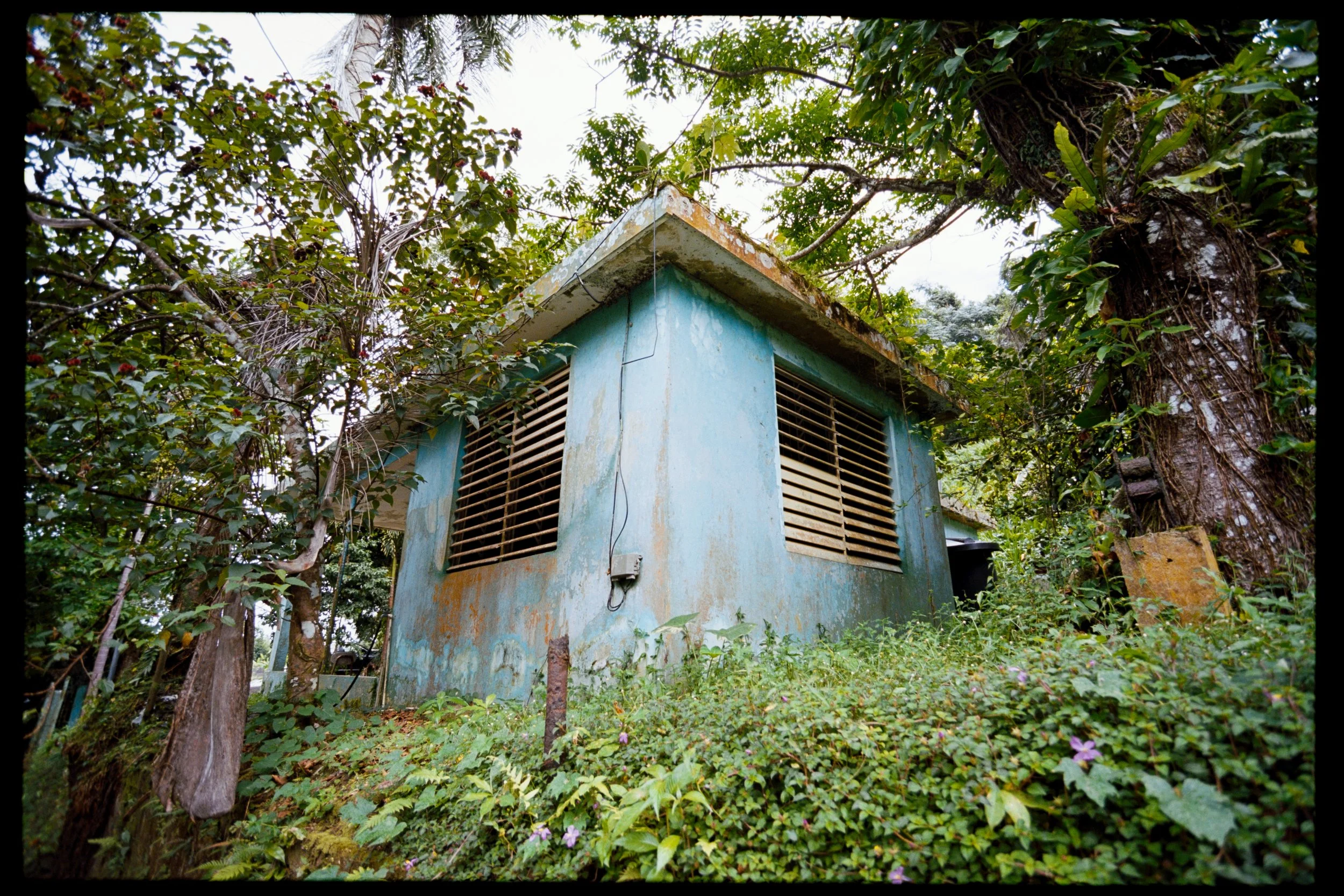 A small, weathered light blue building with brownish, mossy roof is surrounded by dense green foliage and trees. The building has vents or louvers on its wall and appears to be situated in a lush, overgrown area.
