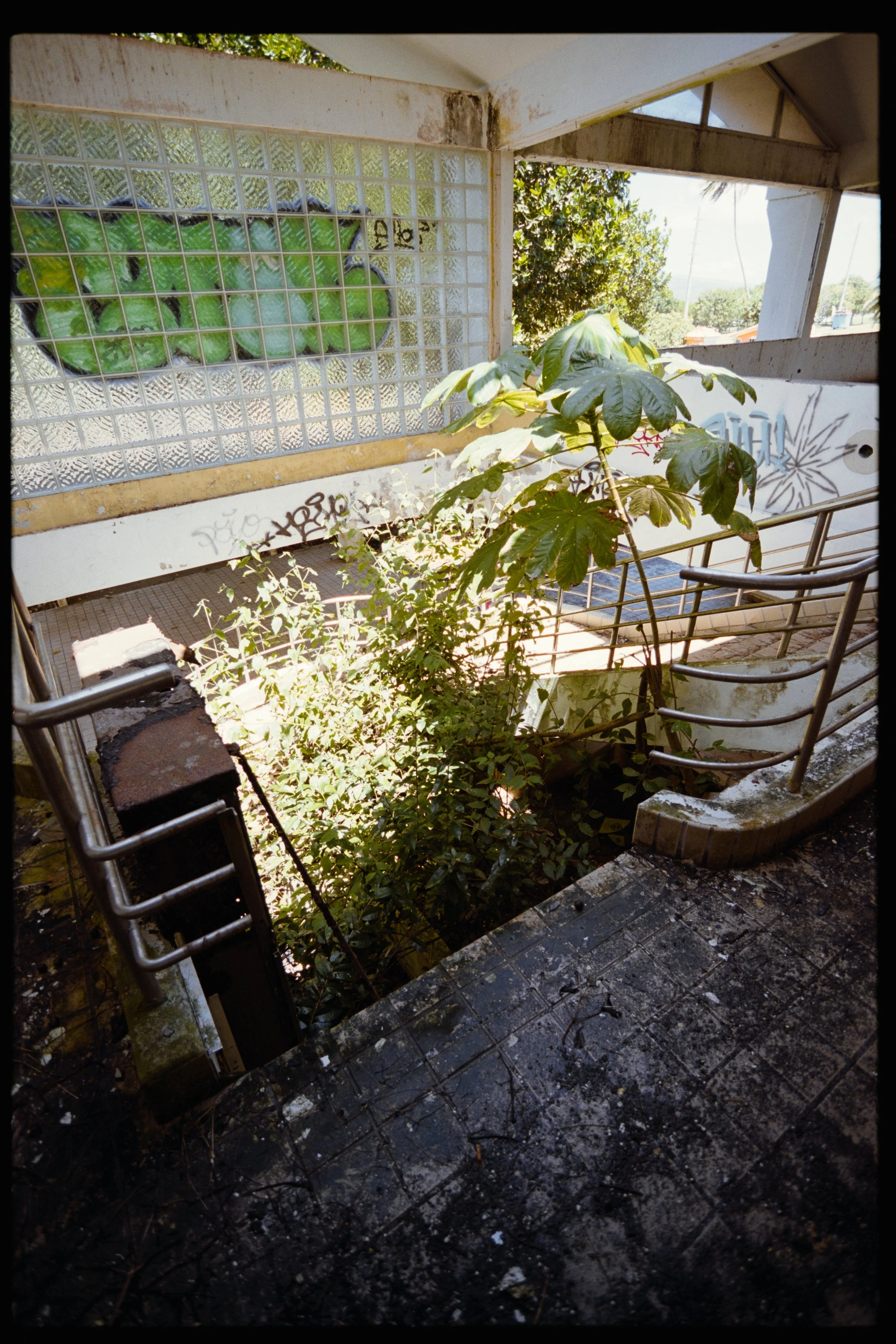 Inside of an abandoned building with overgrown plants, graffiti on the walls, a damaged staircase, and burnt debris on the floor.