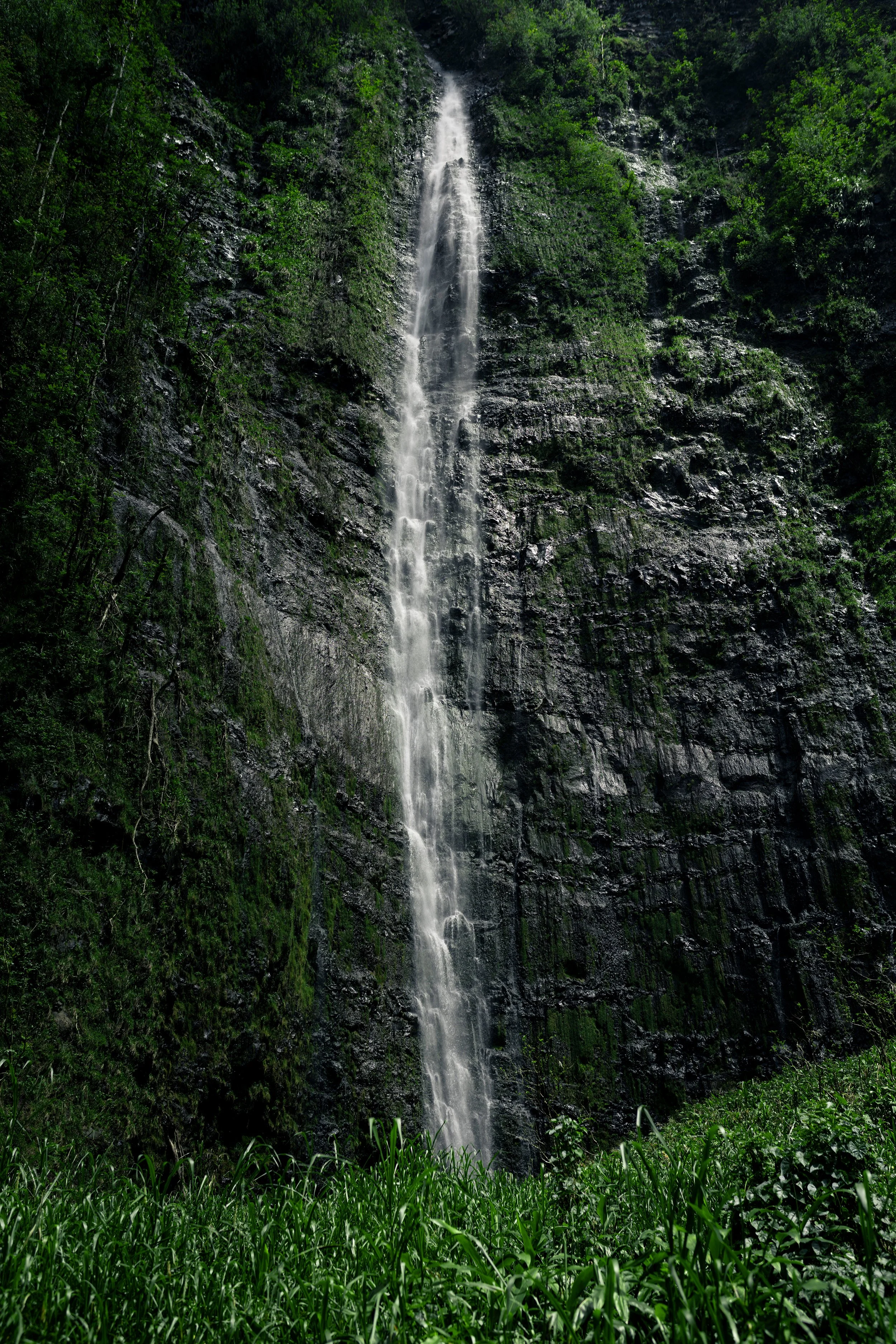 Tall waterfall cascading down a green, rocky mountainside surrounded by lush trees and grass.
