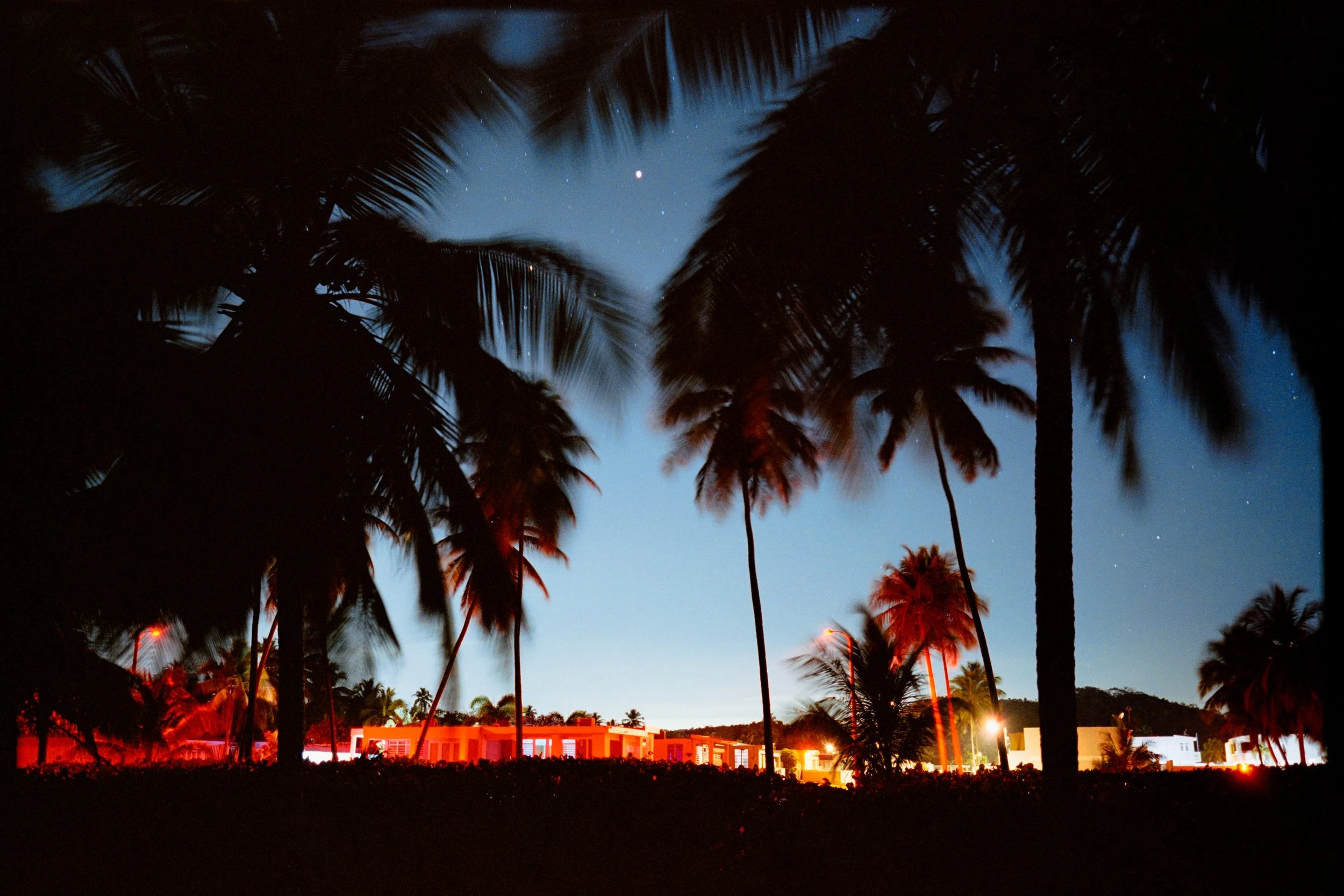 Night scene with tall palm trees silhouetted against a dark blue sky filled with stars, and illuminated buildings in the background emitting a red glow.