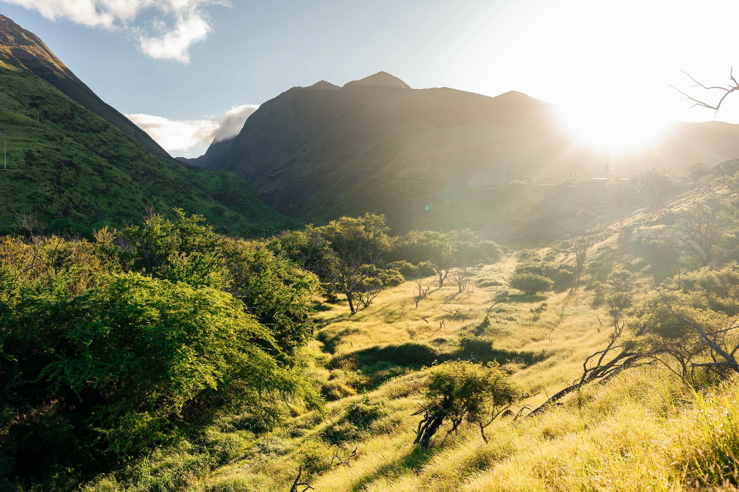 Sunlit green mountains and rolling grassy hills with scattered trees, under a partly cloudy sky.