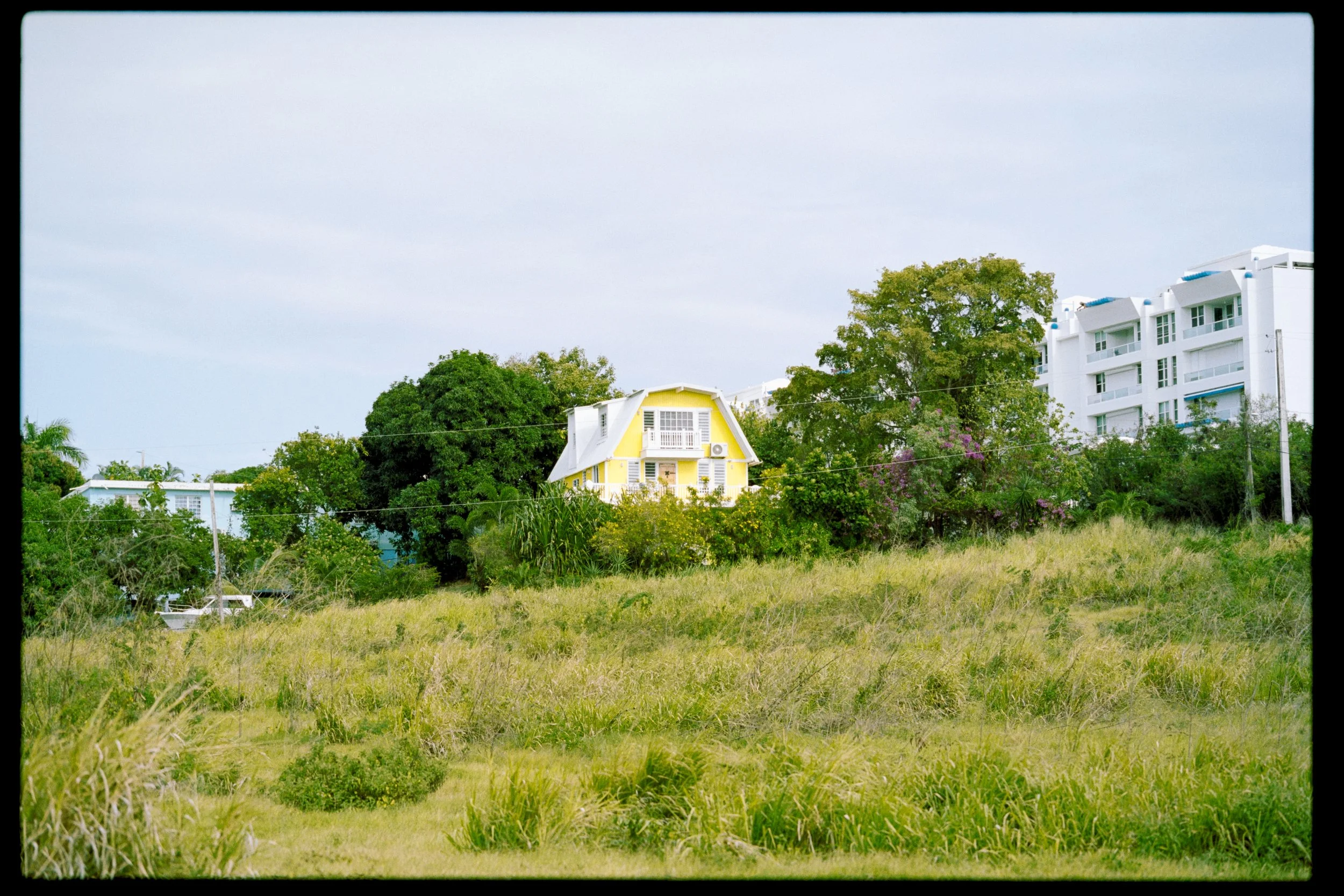 A view of a grassy field with various trees, houses, and a multi-story apartment building in the background under an overcast sky.