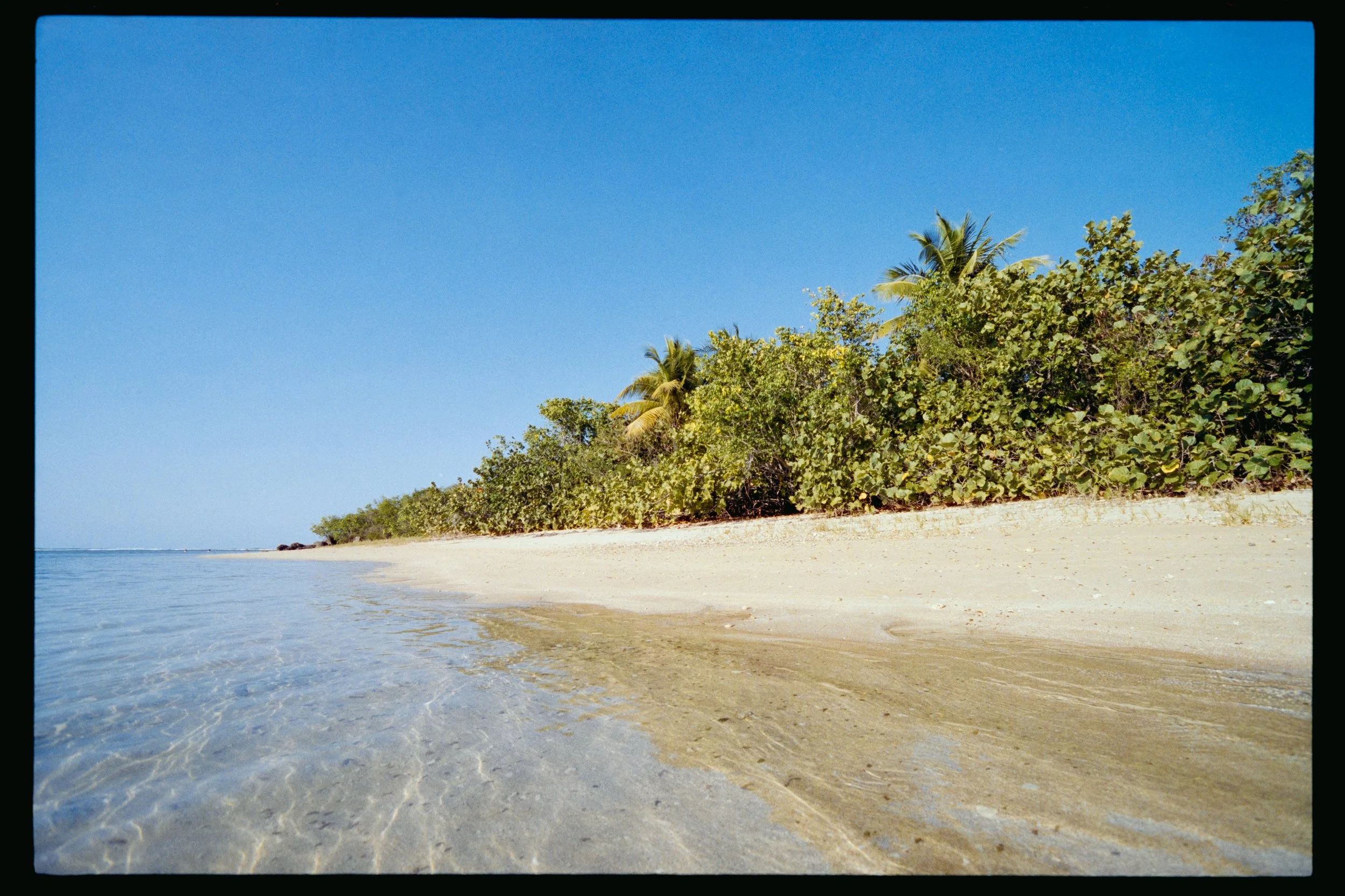 A tropical beach scene with clear water, sandy shore, and lush green trees including palm trees under a bright blue sky.