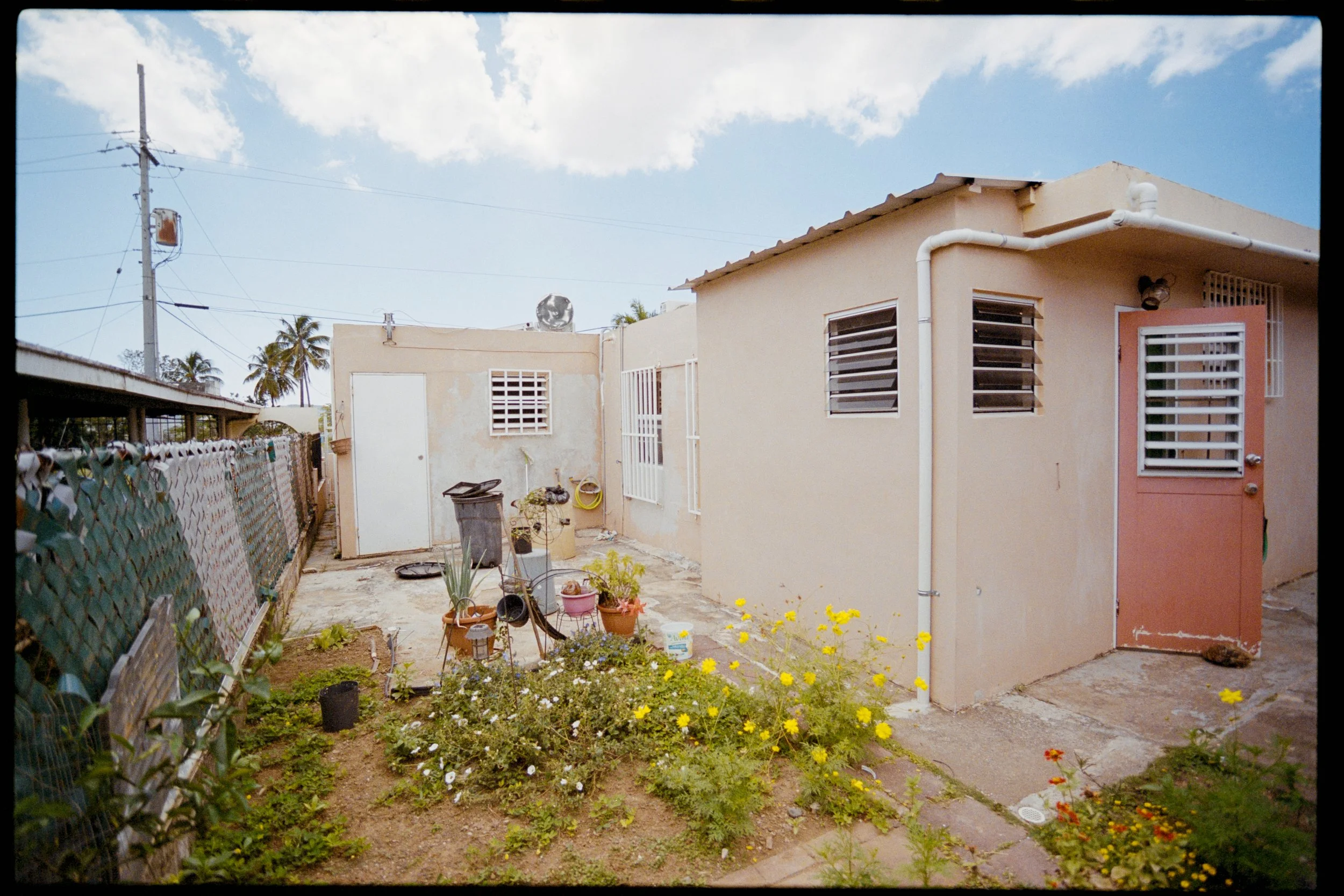 Backyard of a modest house with a small garden, plants, and flowers, alongside a fence, with a blue sky and clouds overhead.