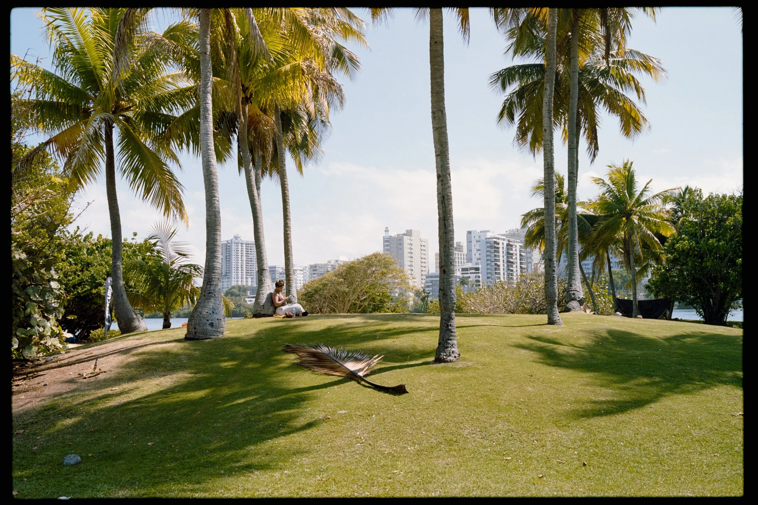 A woman sitting on a rock under palm trees in a park near water, with high-rise buildings in the background.