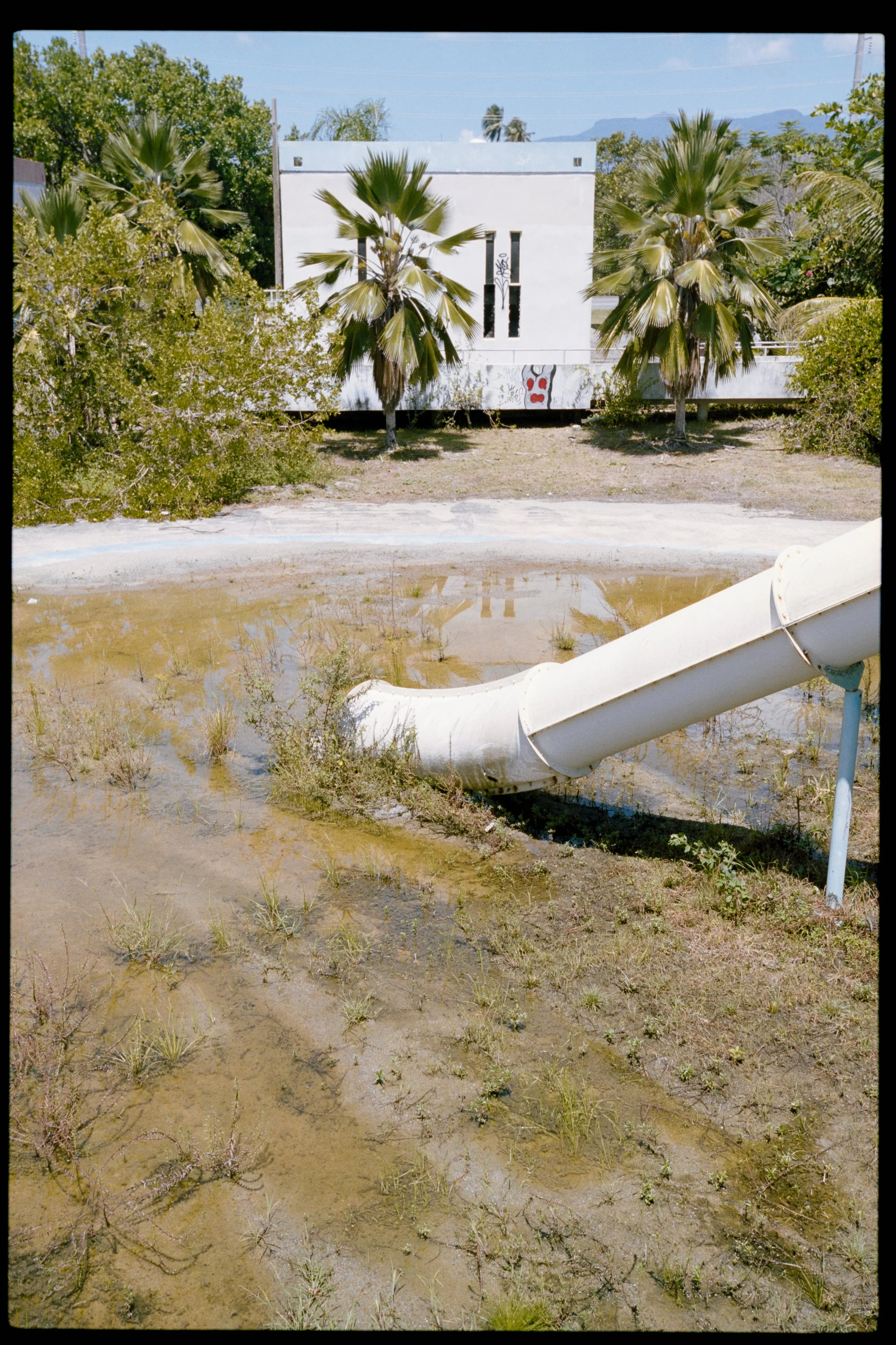 Abandoned playground with a white slide and a splash of muddy water, overgrown grass, and graffiti on a white building behind palm trees and other greenery under a partly cloudy sky.