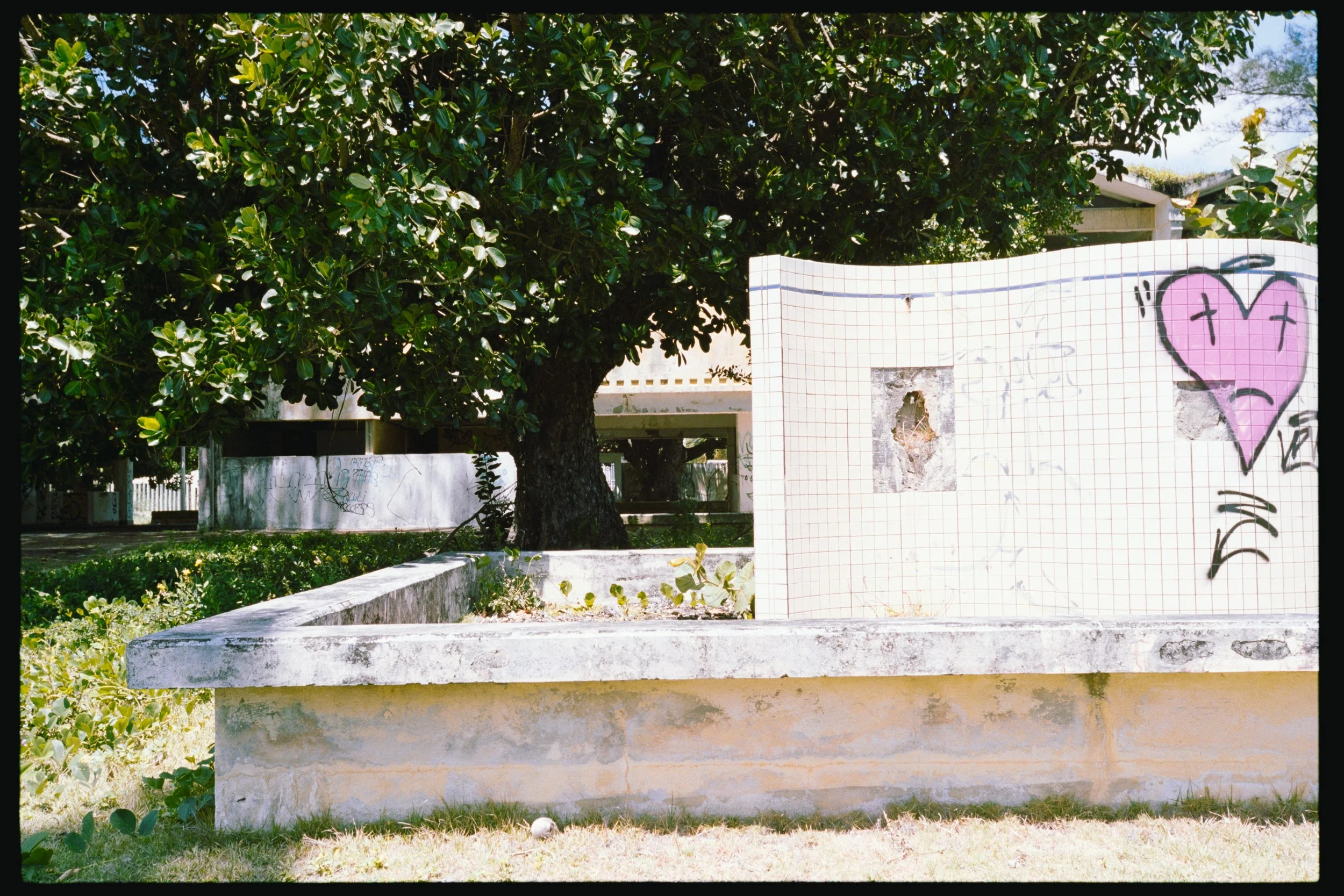 A large tree with dense green leaves behind a low concrete wall. In front of the wall, there is a white rectangular structure with graffiti, including a pink broken heart with a black outline and various scribbles.
