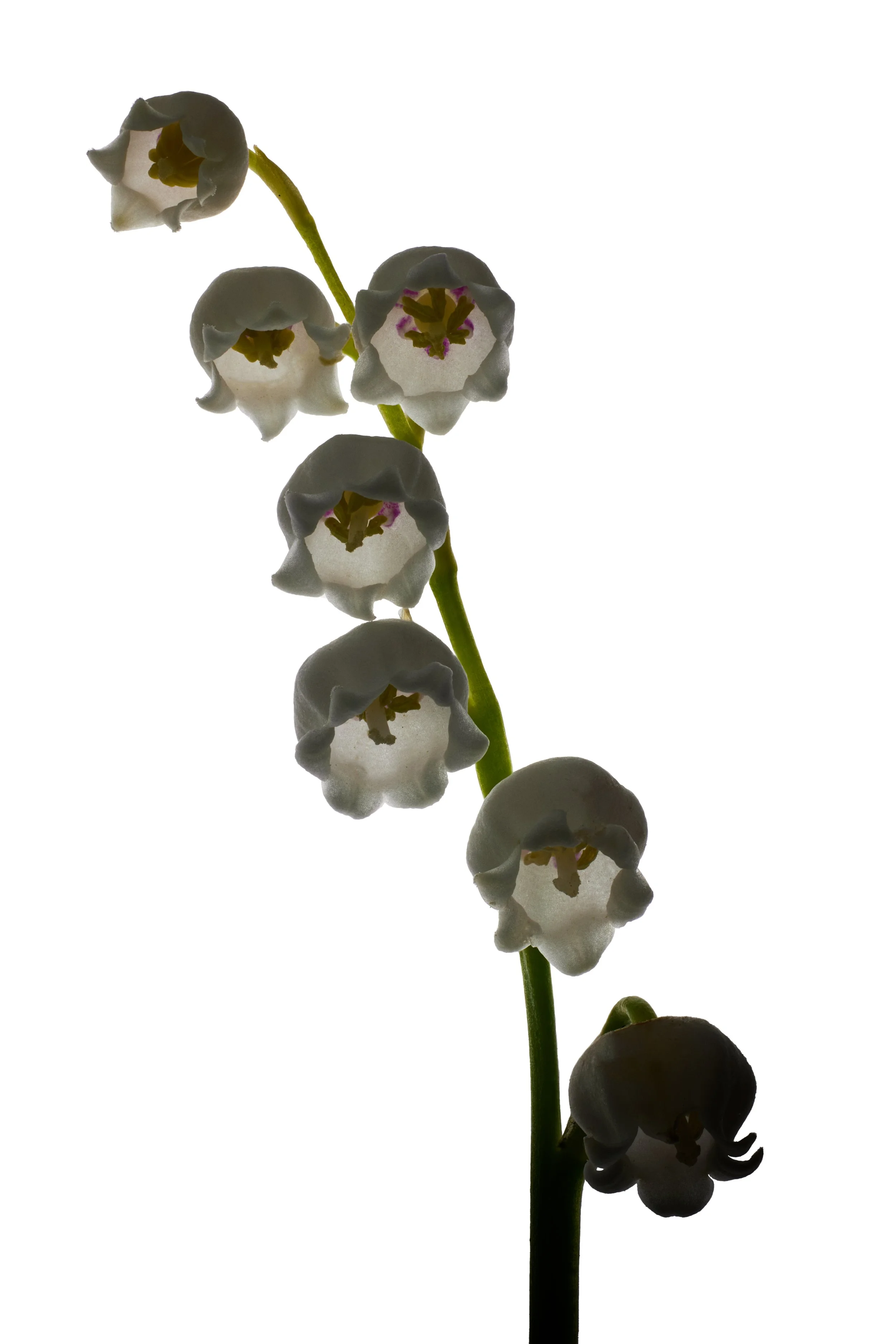 2023-05-15 22-17-15 (B,R6,S4).jpg