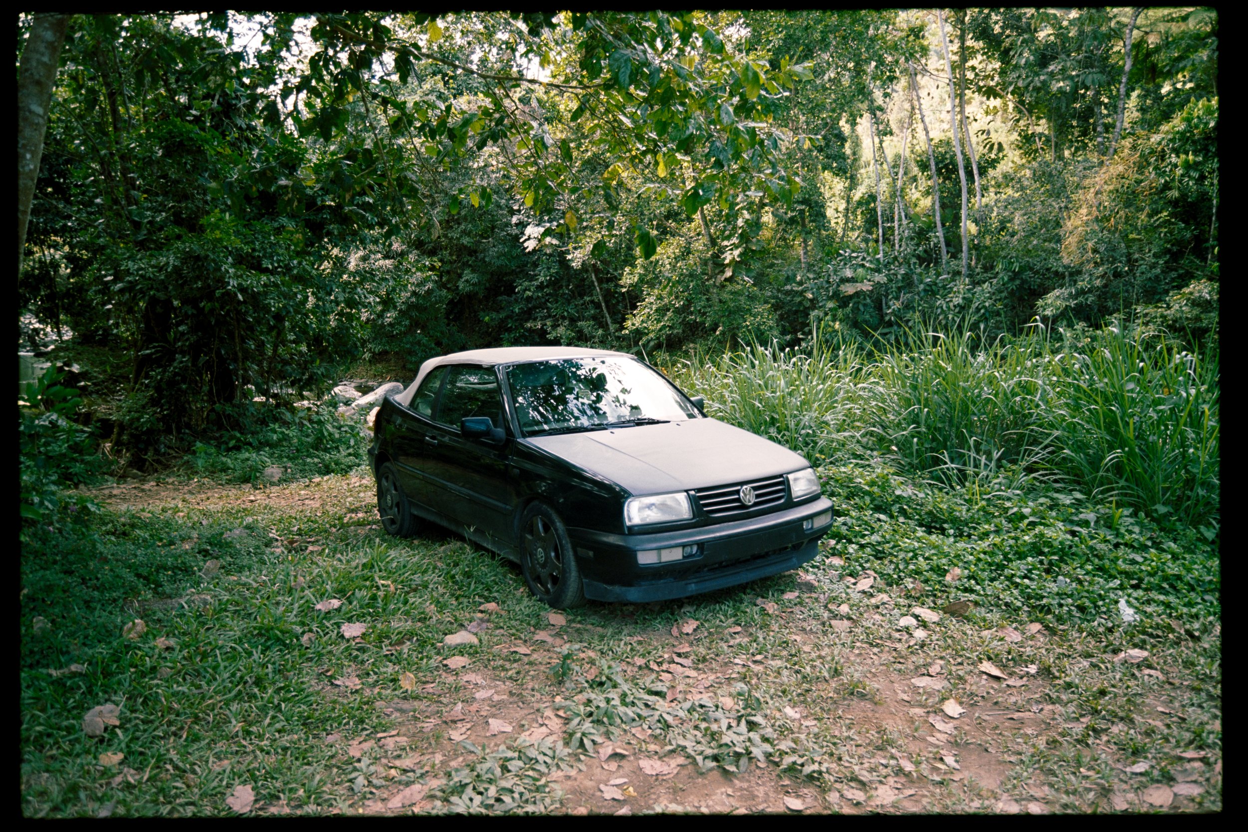 A black Volkswagen car parked on a dirt path in a lush green forest with tall trees and dense foliage.