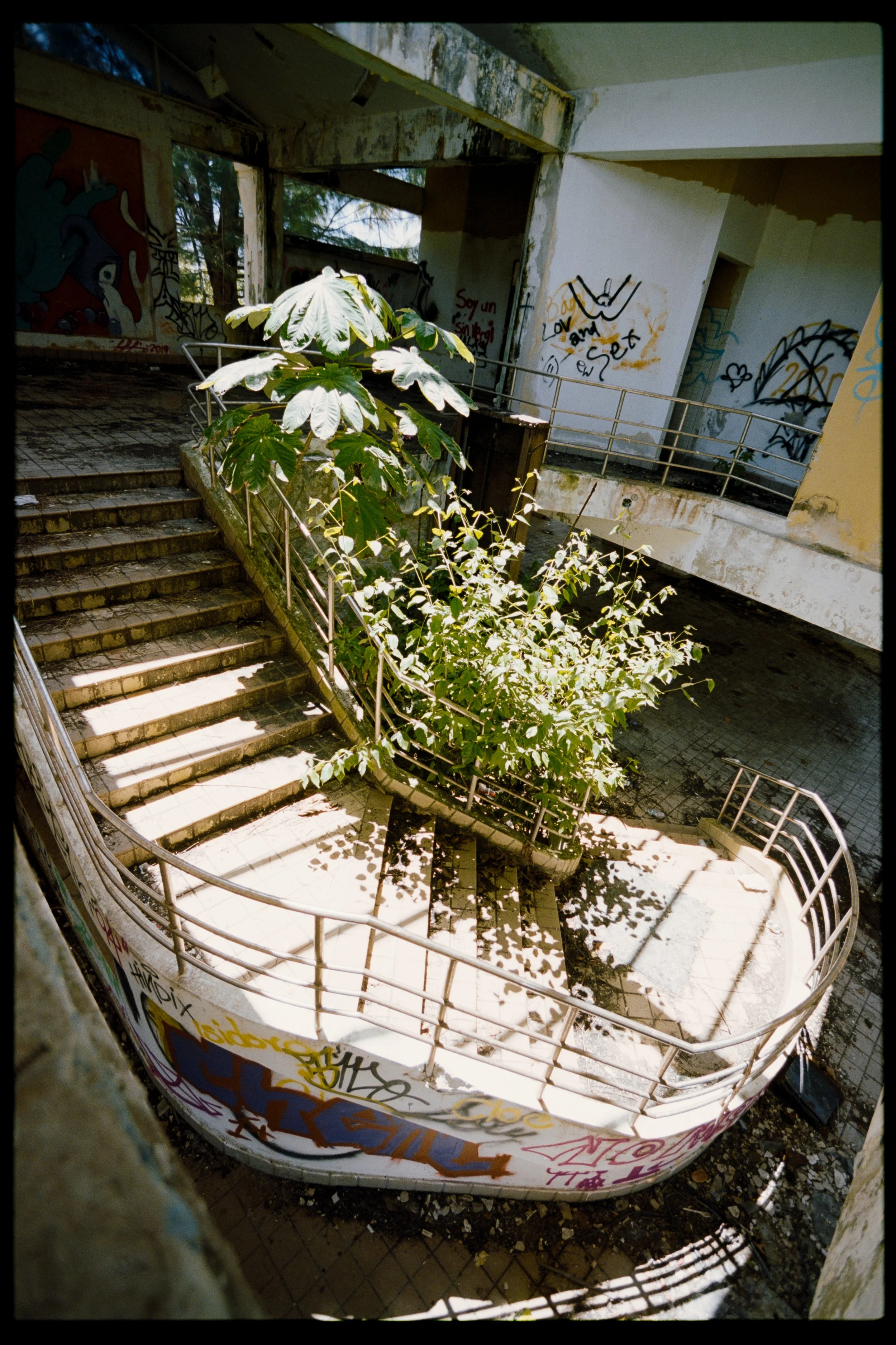 Abandoned building interior with graffiti-covered walls, overgrown plants, and a staircase with metal railings leading to a lower level.