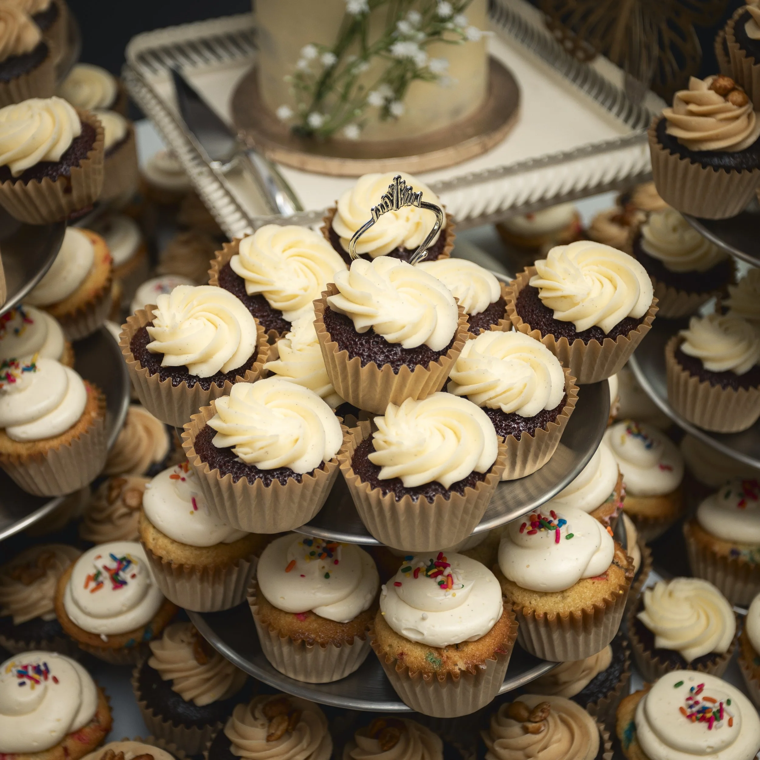Assorted cupcakes with white, chocolate, and vanilla frosting, some topped with colorful sprinkles, displayed on tiered serving trays, with a decorated cake in the background.