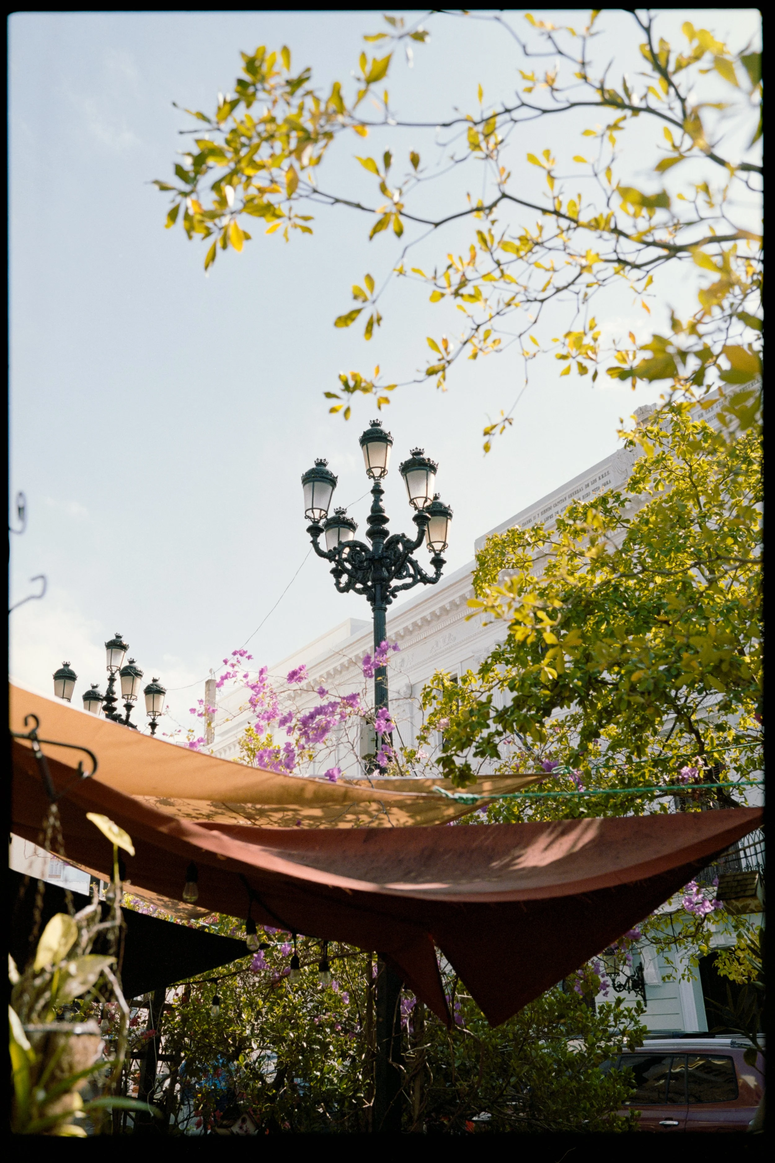 A street scene with black decorative street lamps, yellow and purple flowering plants, and a white building in the background under a partly cloudy sky.