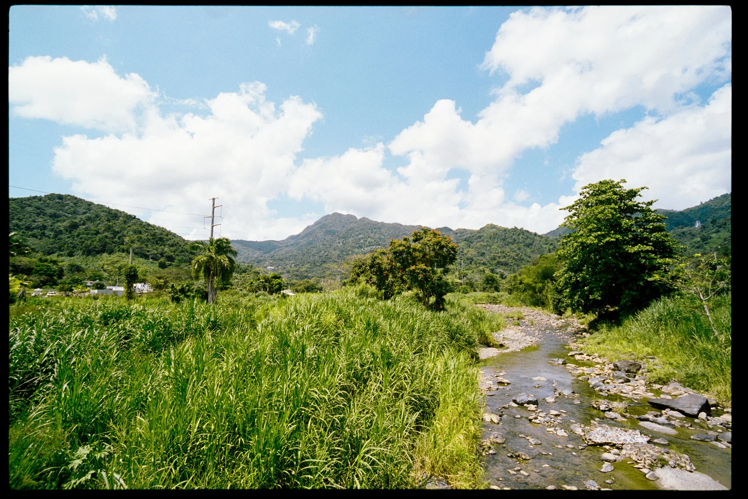 A scenic landscape featuring a small creek with rocks, tall green grass, trees, rolling hills covered in greenery, and a blue sky with scattered clouds.