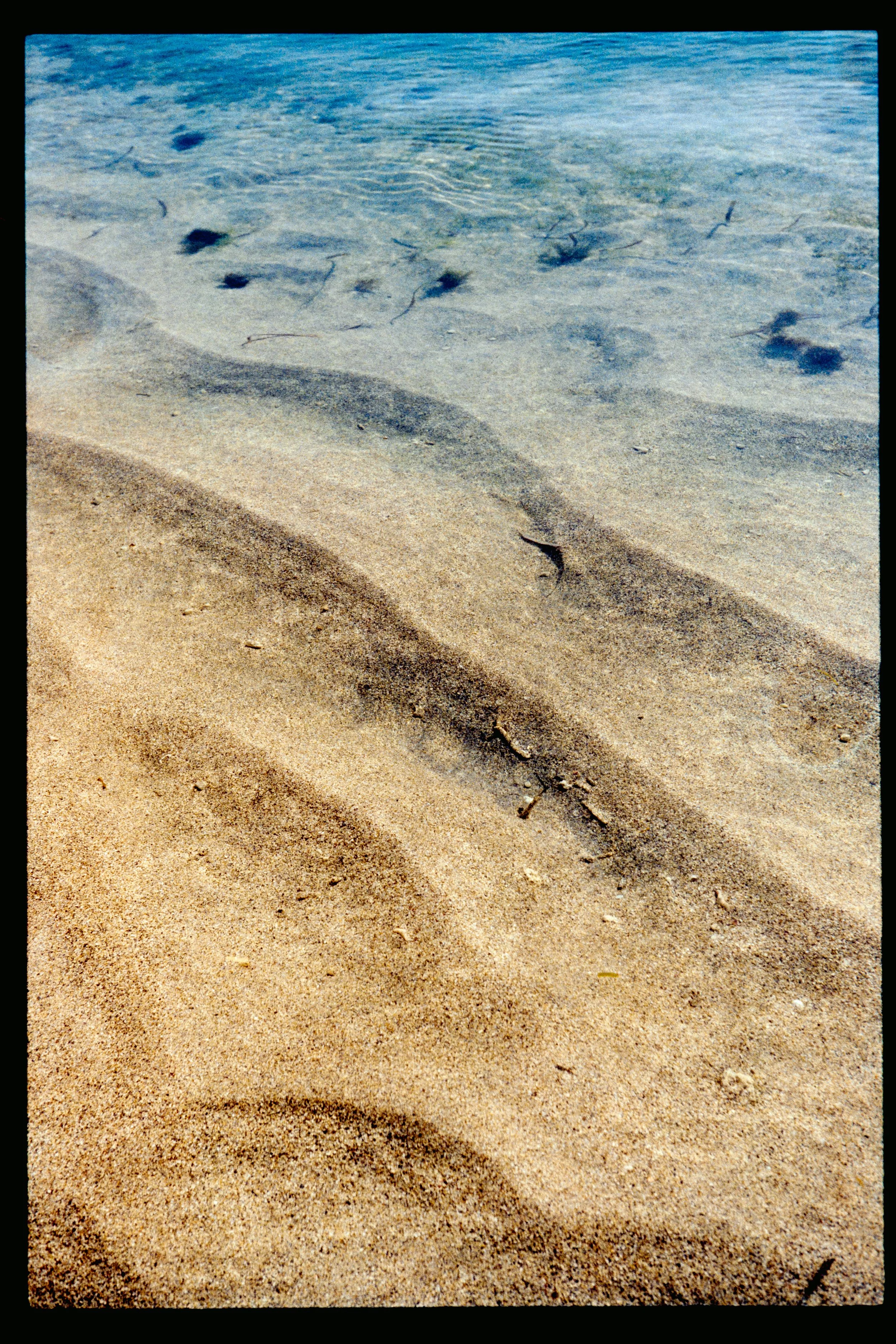 Close-up of sandy beach showing small fish swimming near the surface, with some seaweed and tiny shells on the sand.