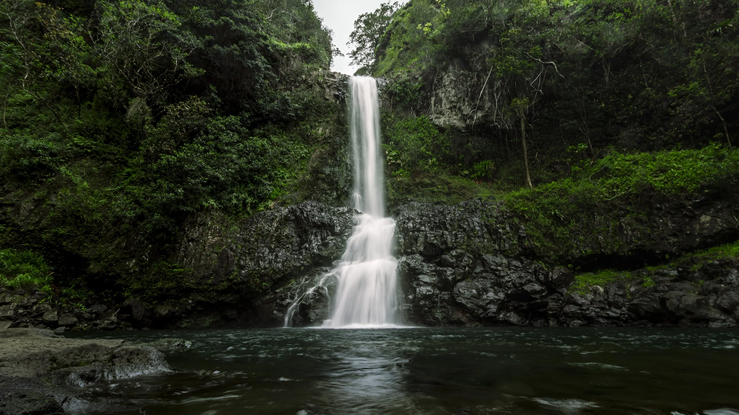 A tall waterfall flows down dark rocks into a pool surrounded by lush green vegetation in a dense forest.