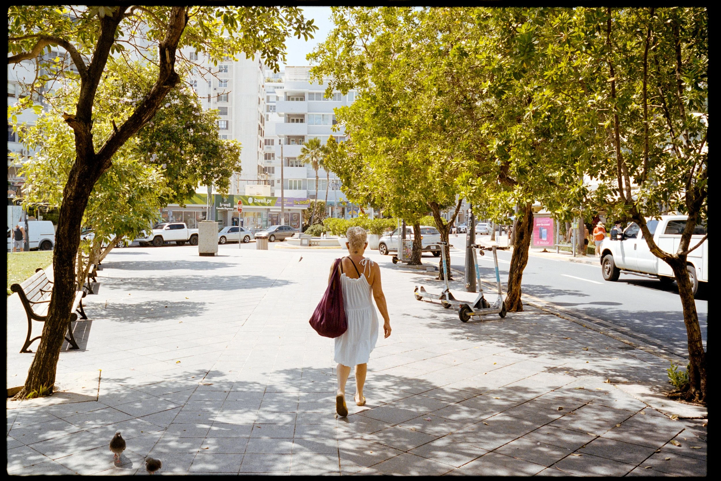 A woman walking on a sidewalk in an urban area, with trees providing shade, and pigeons on the ground. There are buildings, parked cars, and storefronts in the background.