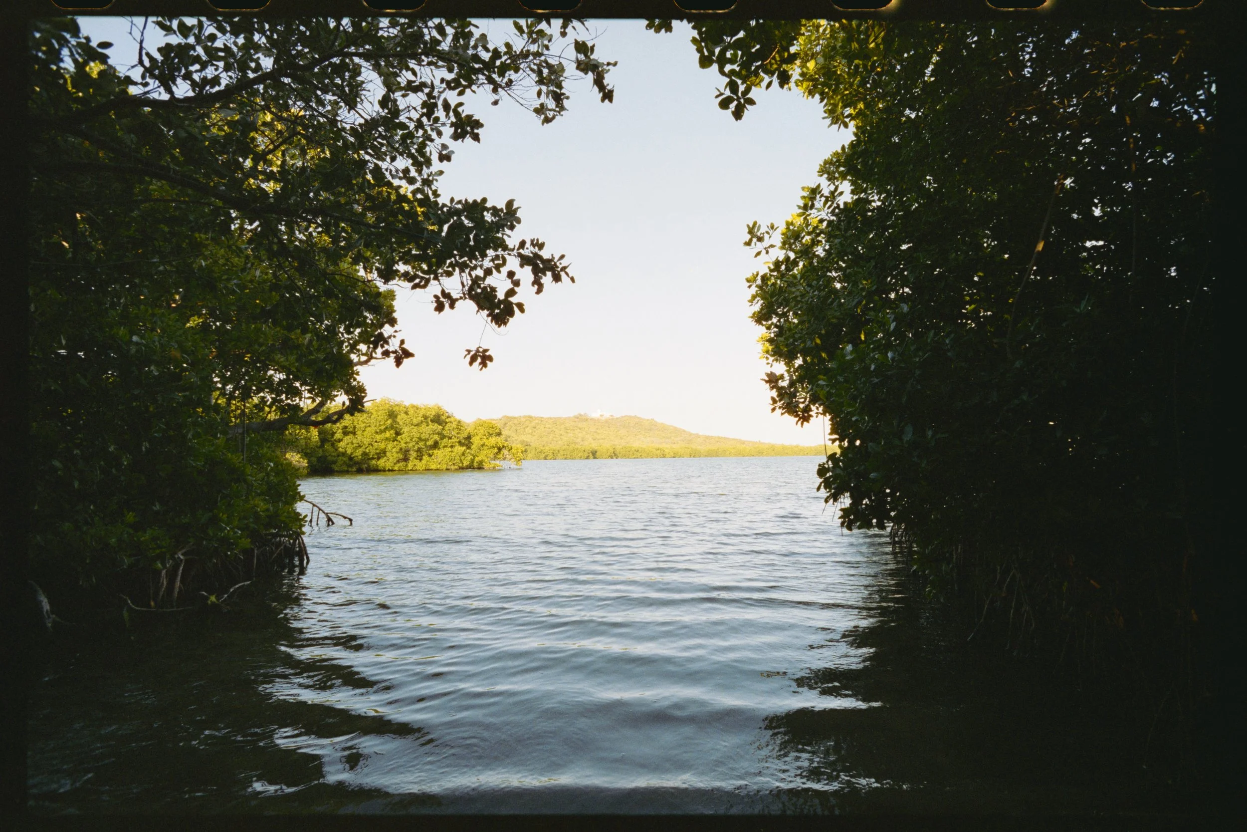 View of a river or lake seen from a shaded area framed by trees with green foliage, and hills in the background under a clear sky.