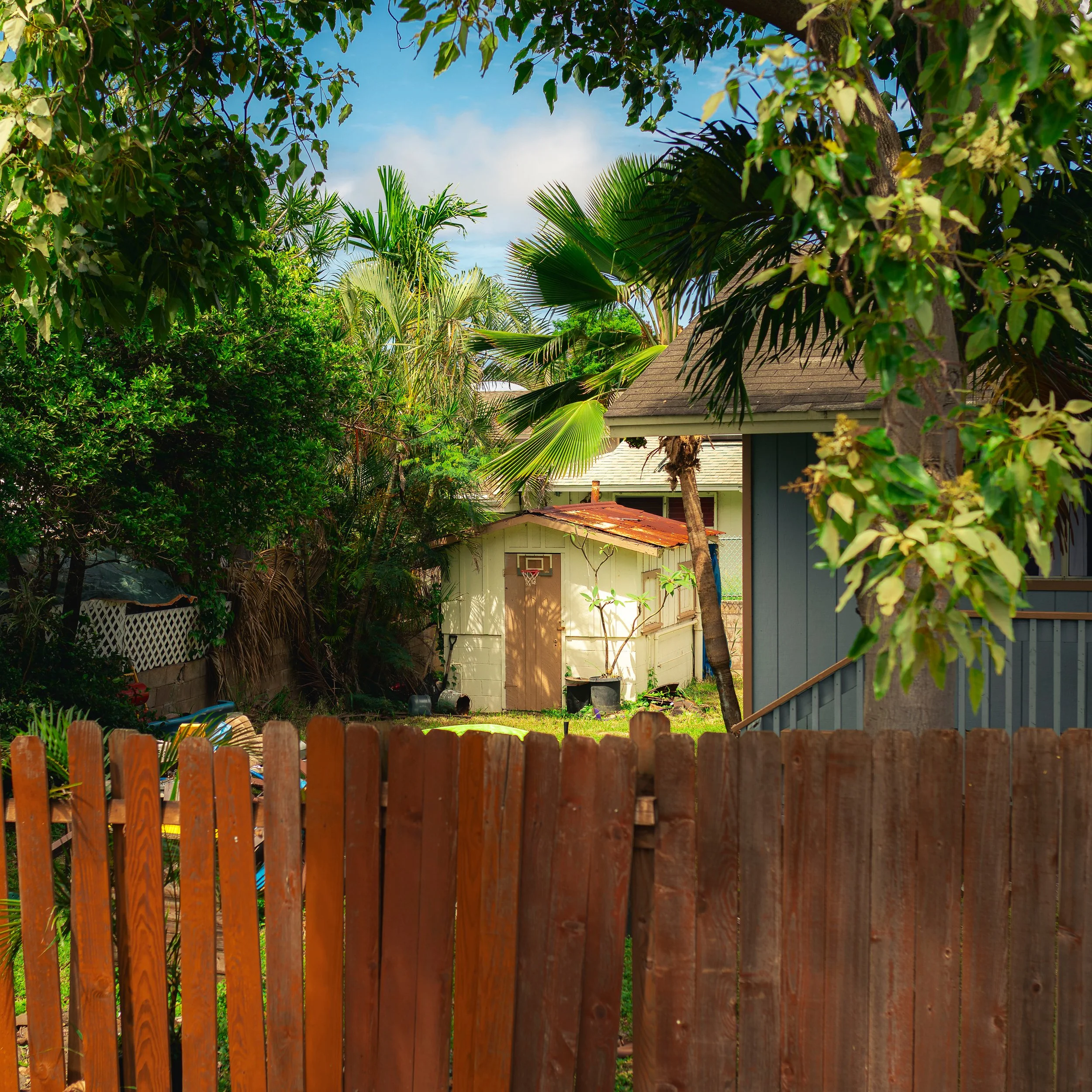 A backyard view with trees, bushes, a wooden fence, a small shed, and a house with a shingled roof. The sky is partly cloudy with visible blue sky.