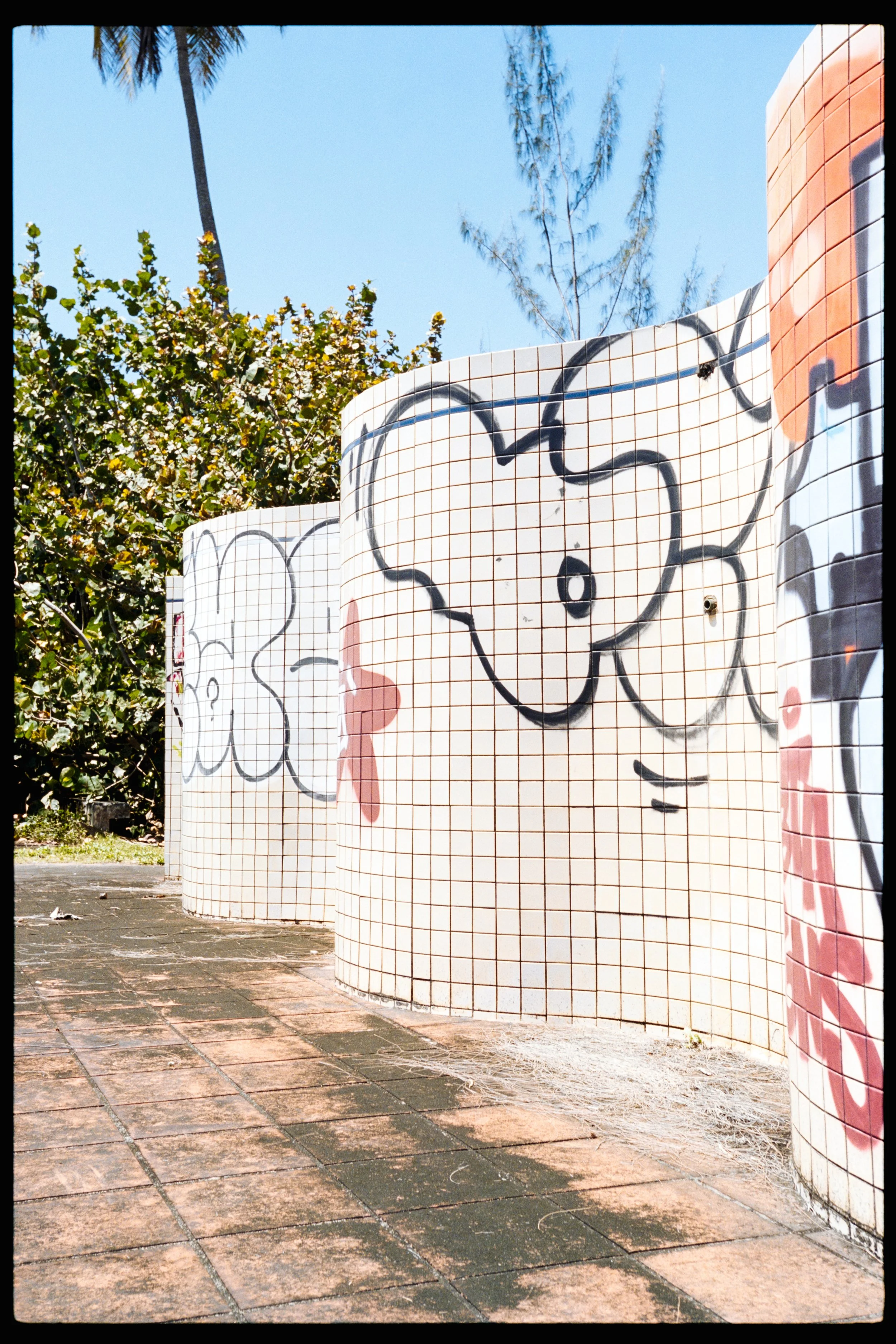 Colorful curved tiled wall with graffiti, outdoor brick pavement, green trees, clear blue sky, and palm trees in the background.