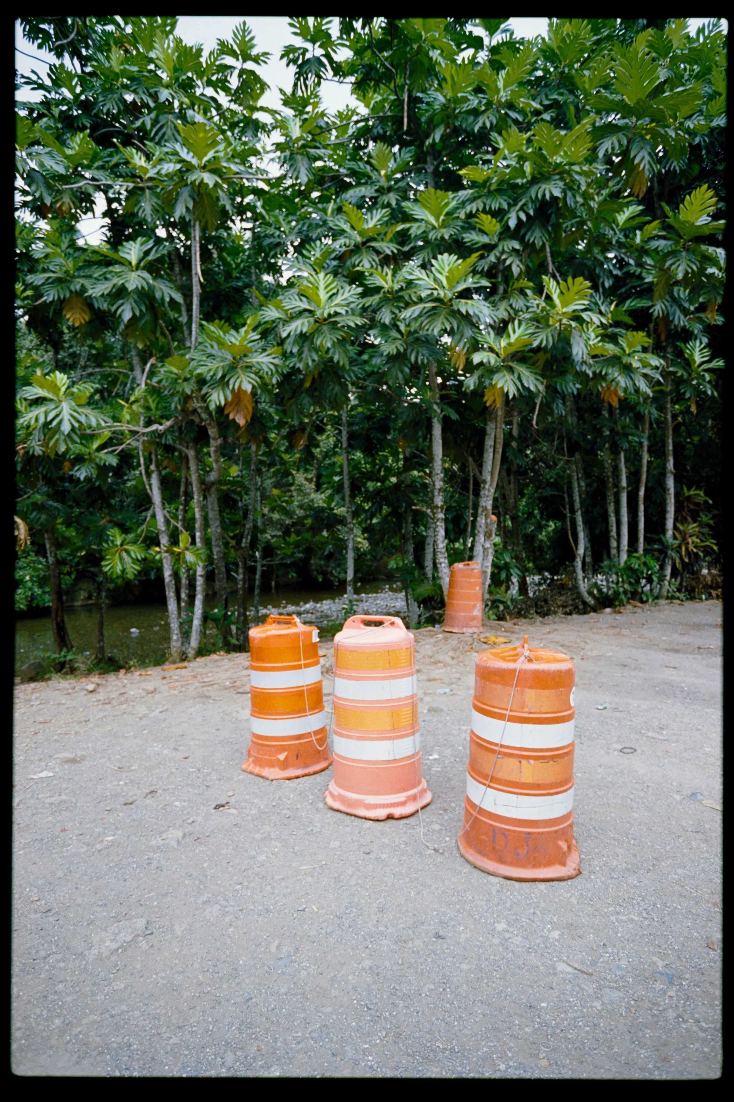 Four orange and white traffic barrels arranged on a dirt and gravel surface in an outdoor area with lush green trees in the background.