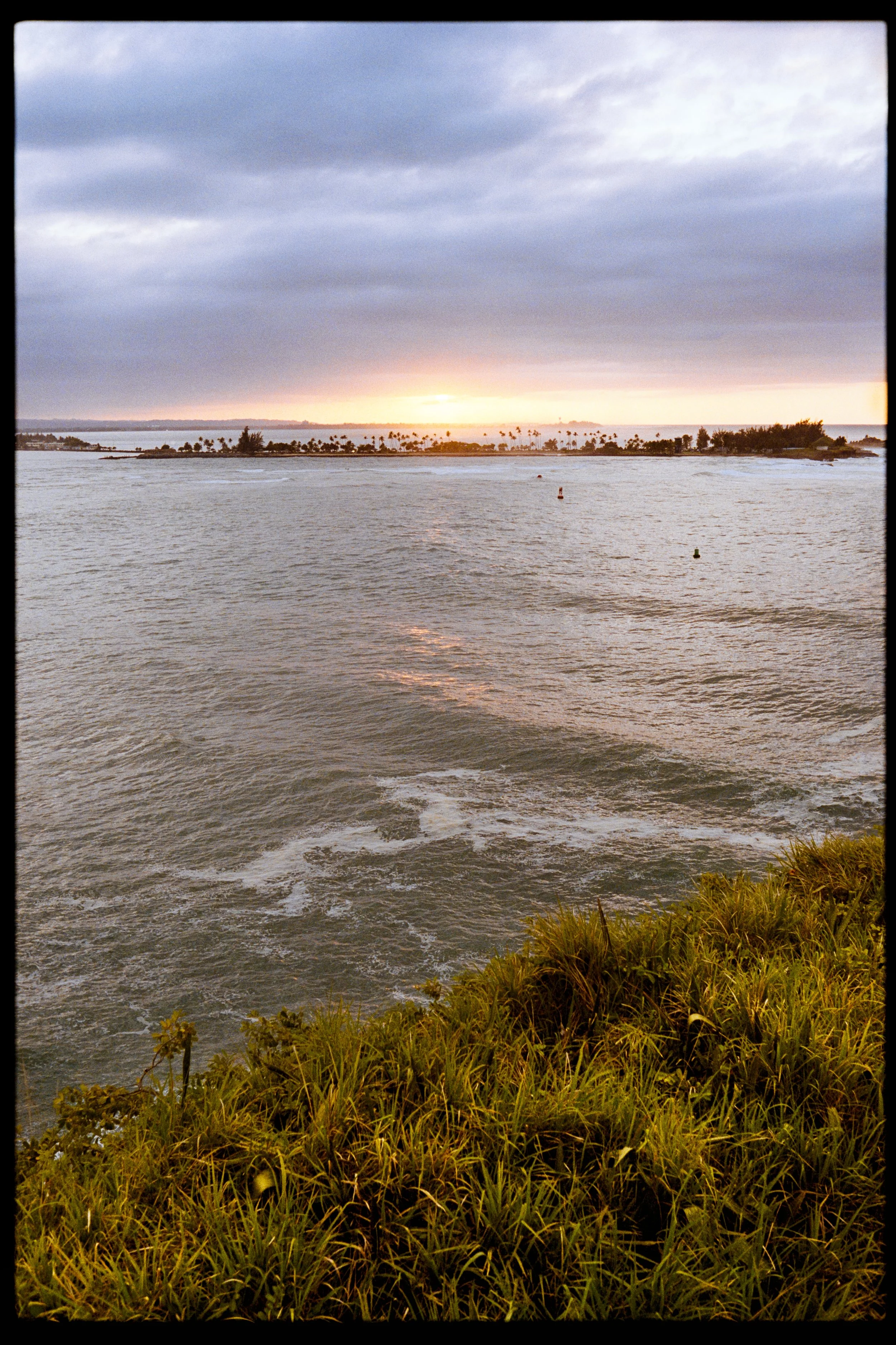 Sunset over a body of water with a shoreline and scattered trees, cloudy sky.