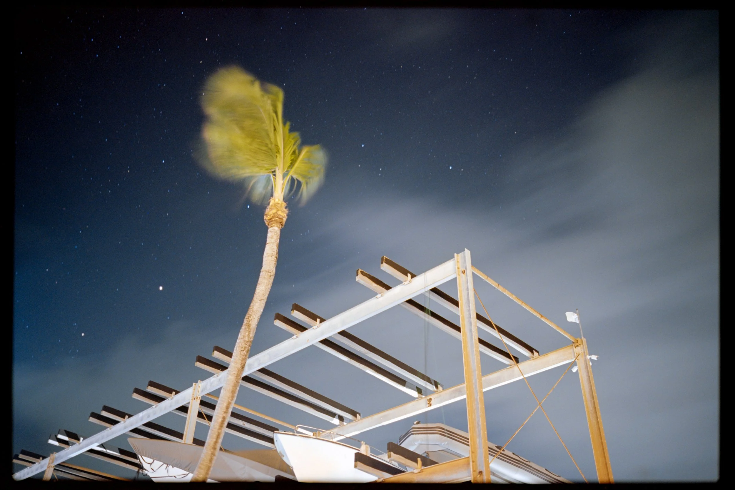 Night sky with stars, a palm tree, and an unfinished building structure in the foreground.