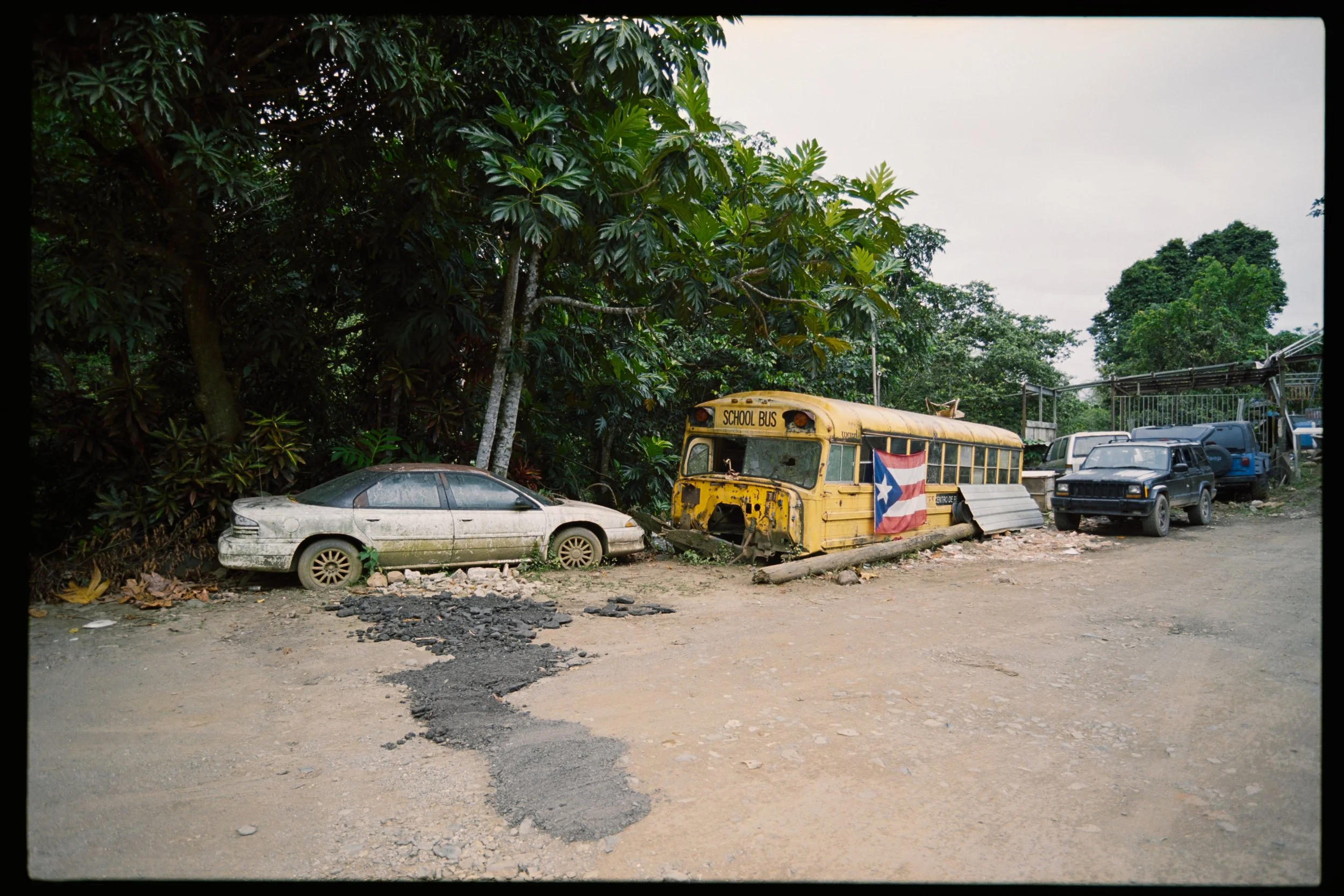 A dusty outdoor scene with an old, abandoned yellow school bus and a few other parked vehicles under a large leafy tree. The bus has a Puerto Rican flag draped on it.