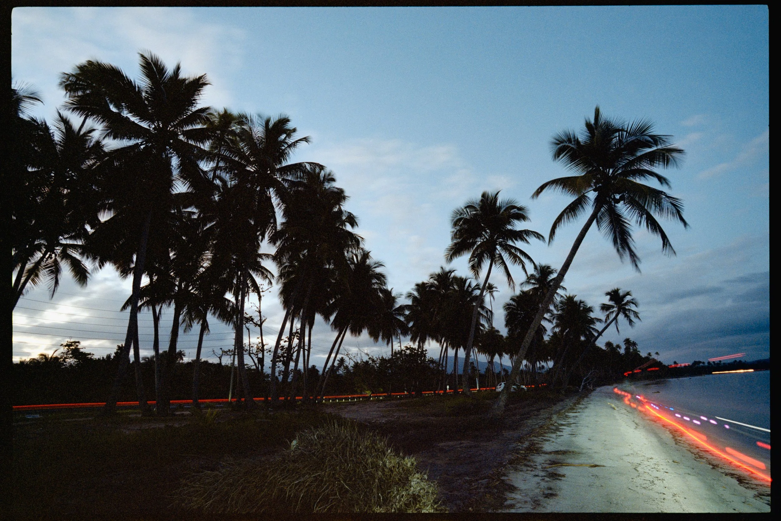 Silhouettes of tall palm trees along a roadside at dusk, with motion-blurred streaks of vehicle lights on the road.