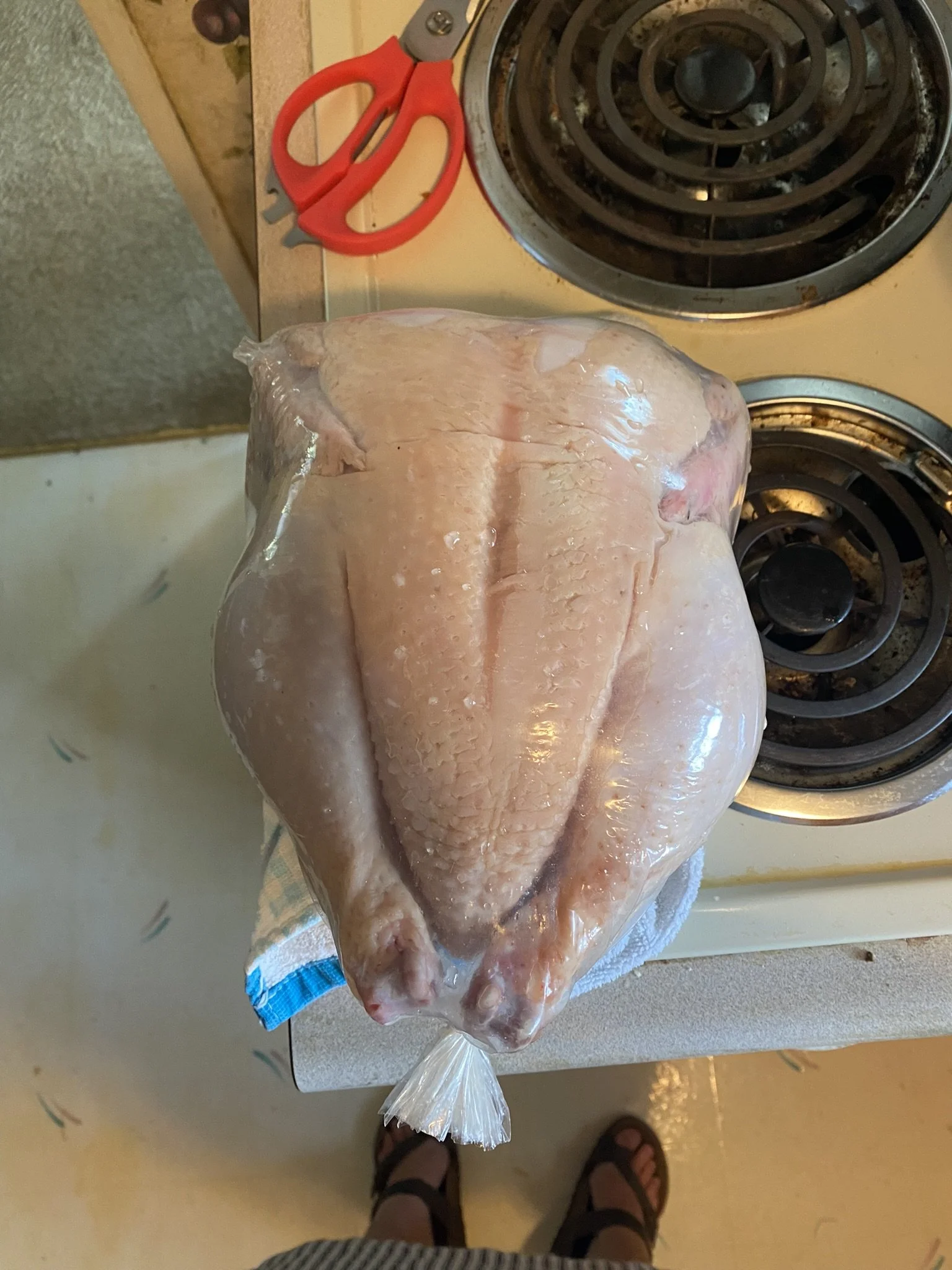 Homegrown & processed chicken