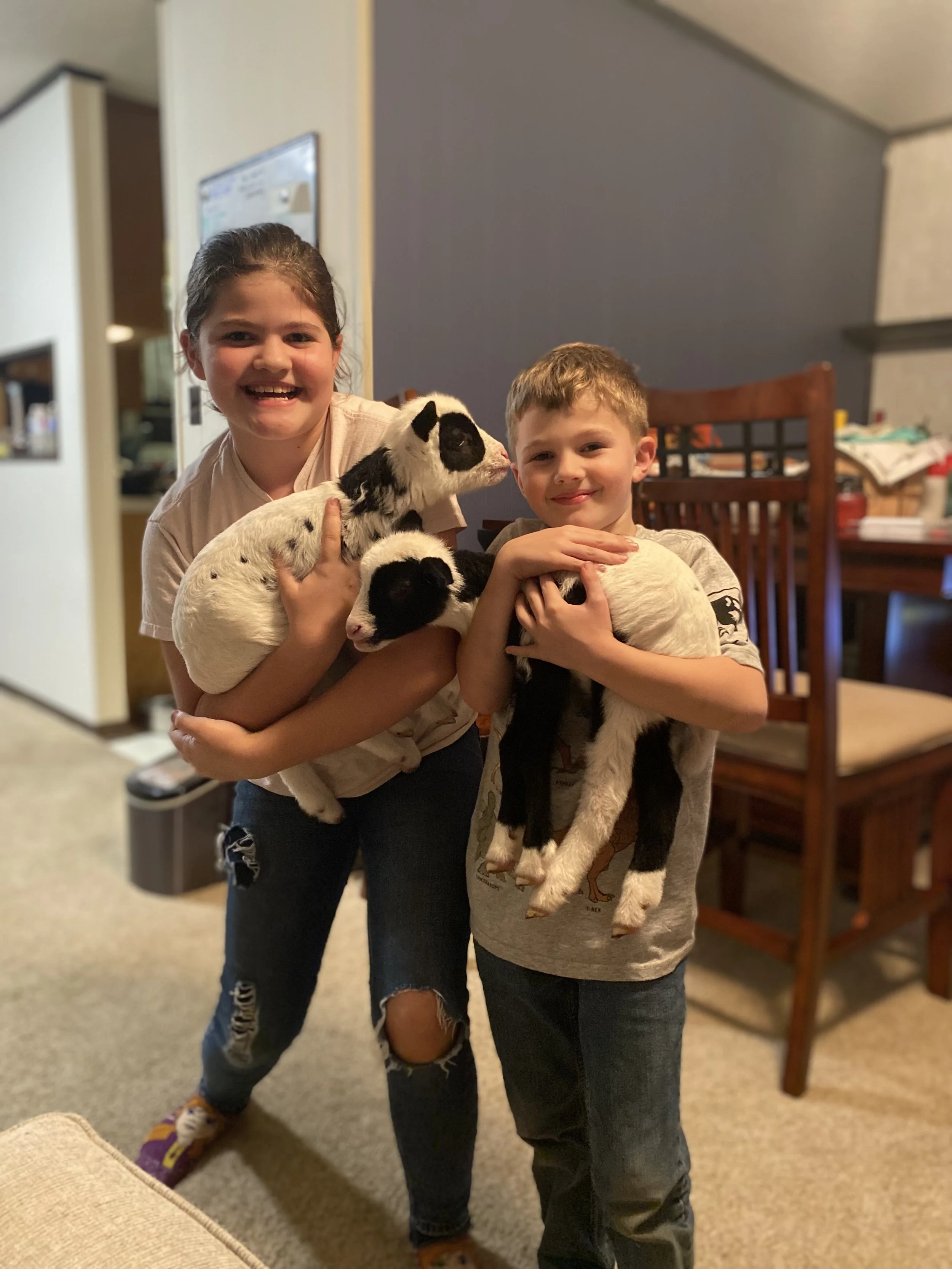 Hannah & Mike with Sully & Drama