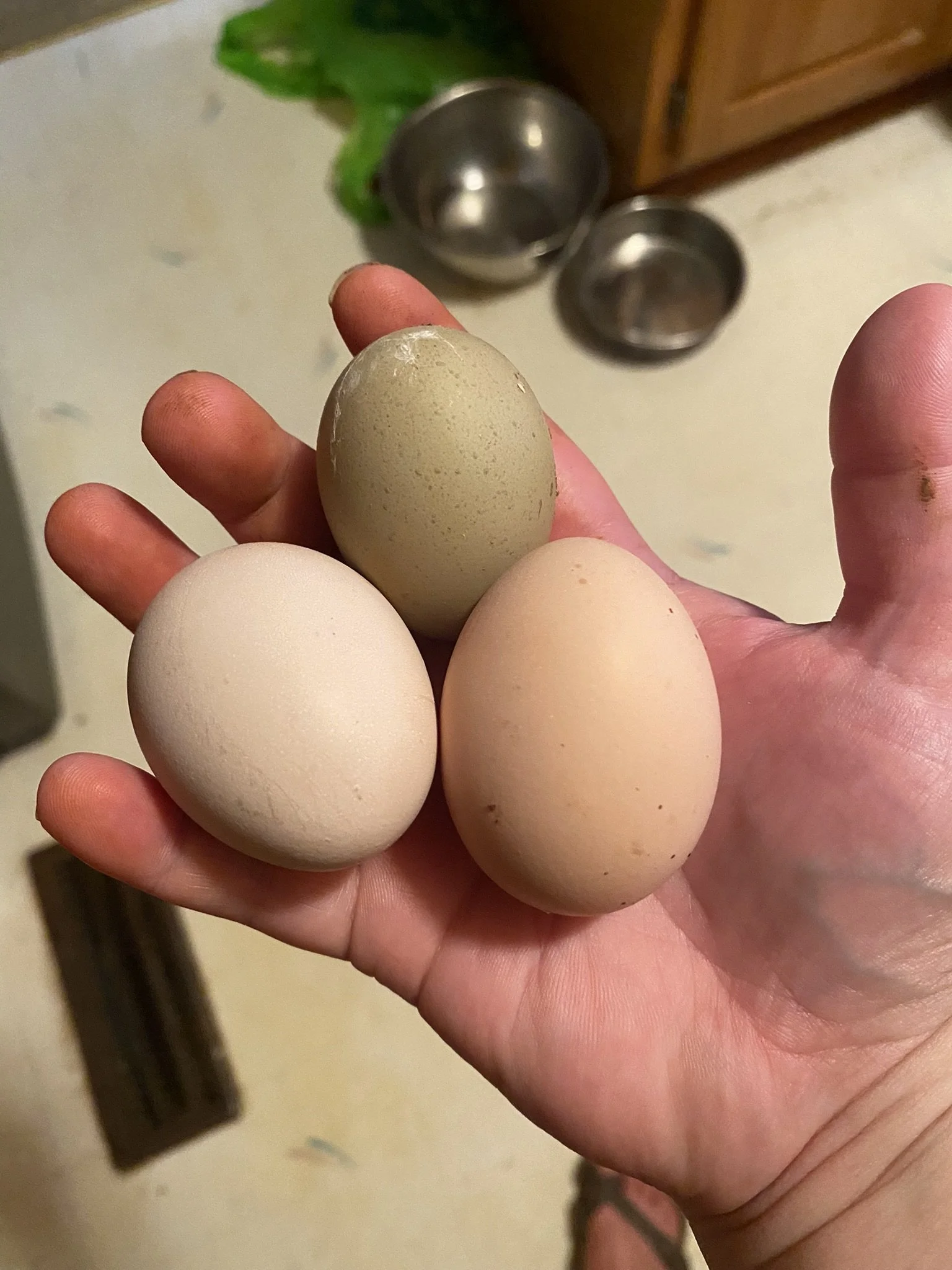 first time getting 3 eggs in day