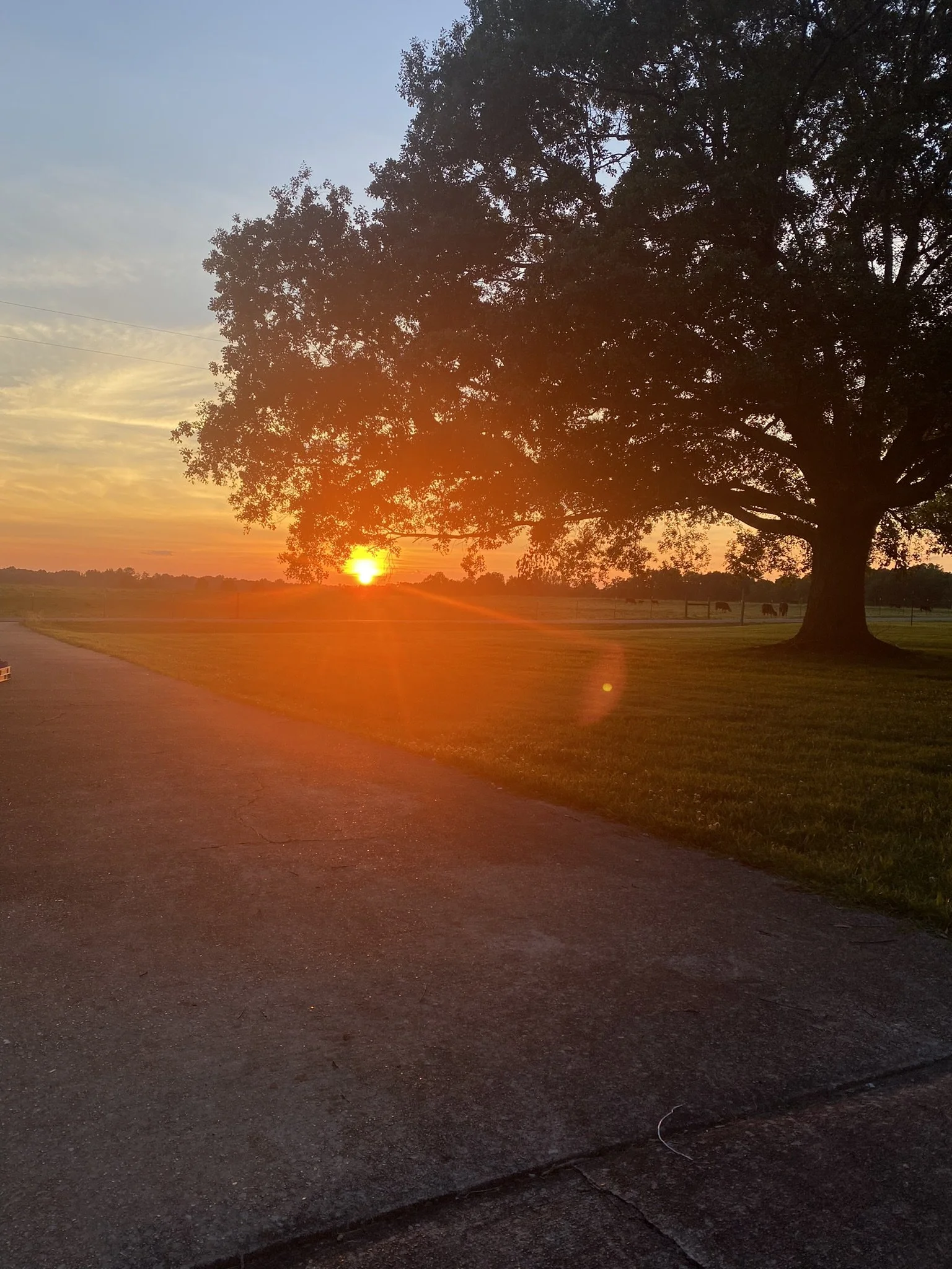 Sunset from the farm