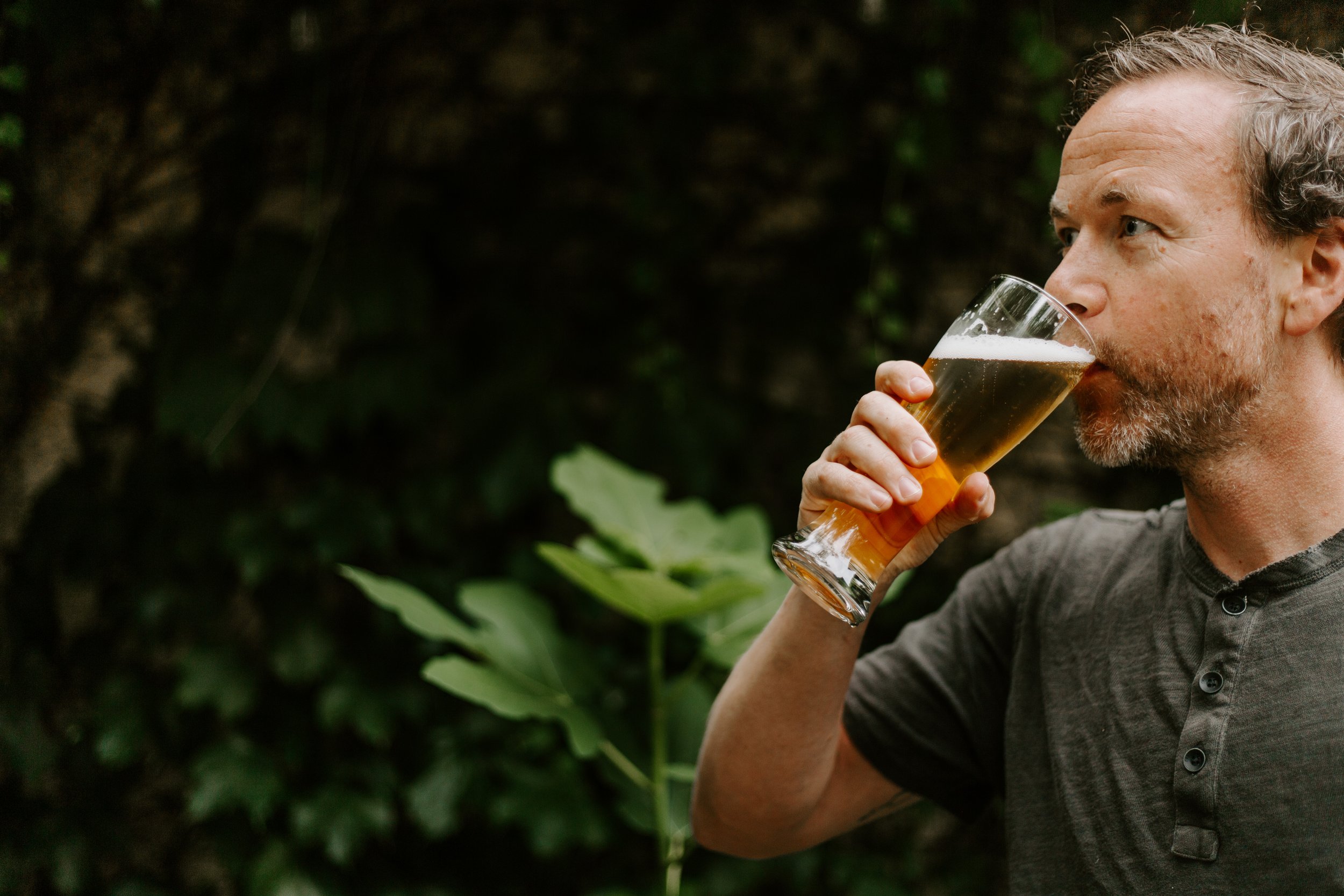 Beer — Sidekick Brewing