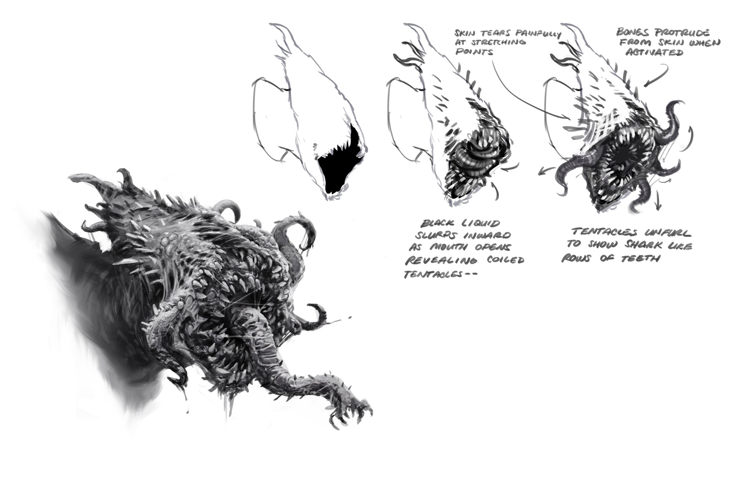 Sketches to show the functionality of the mouth.
