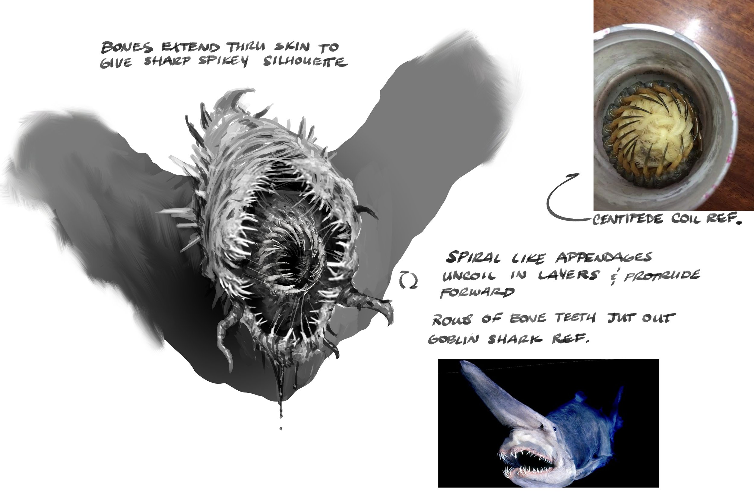 Sketches to show the functionality of the mouth.