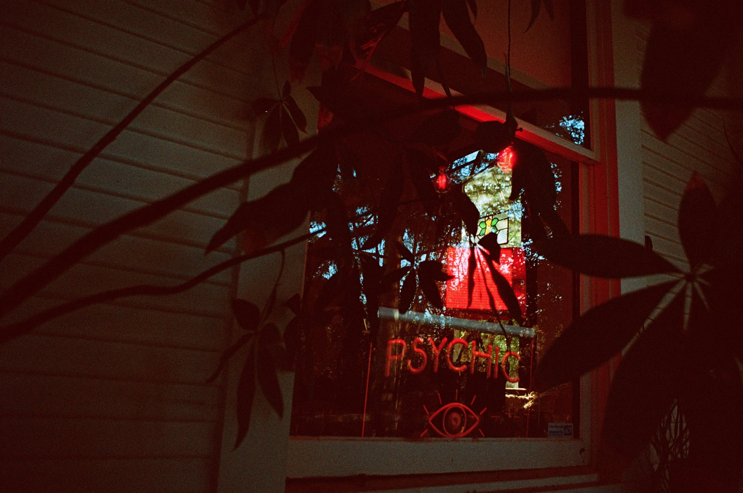 TheMagician2 (1).jpg