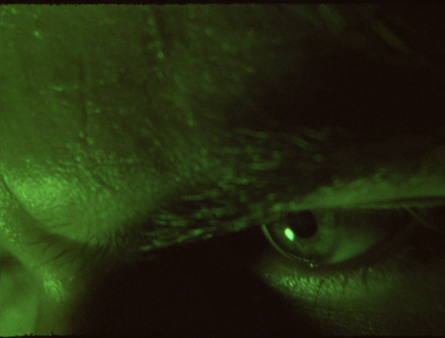 Screenshot 2024-07-08 at 12.46.48 AM.png