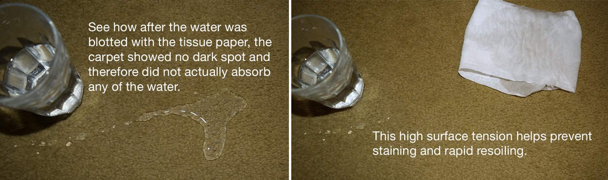 Guardian-slide-2.jpeg