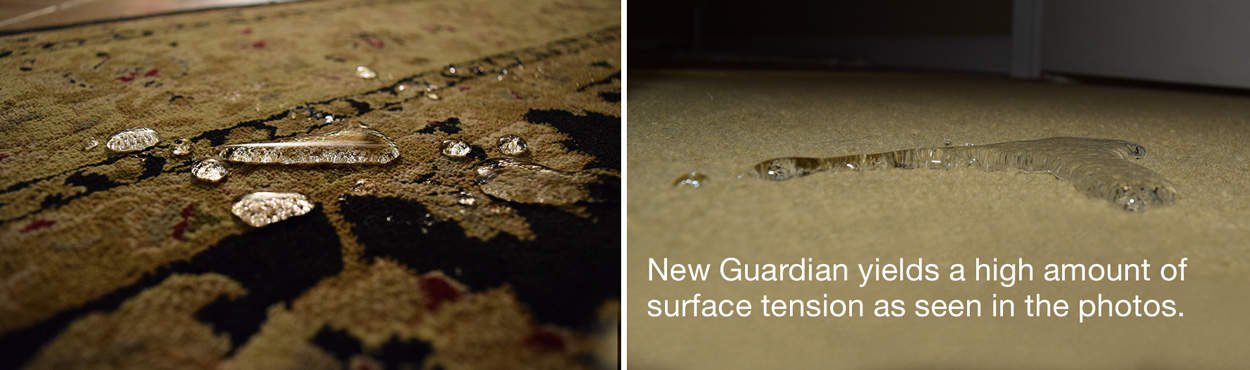 Guardian-slide-1.jpeg