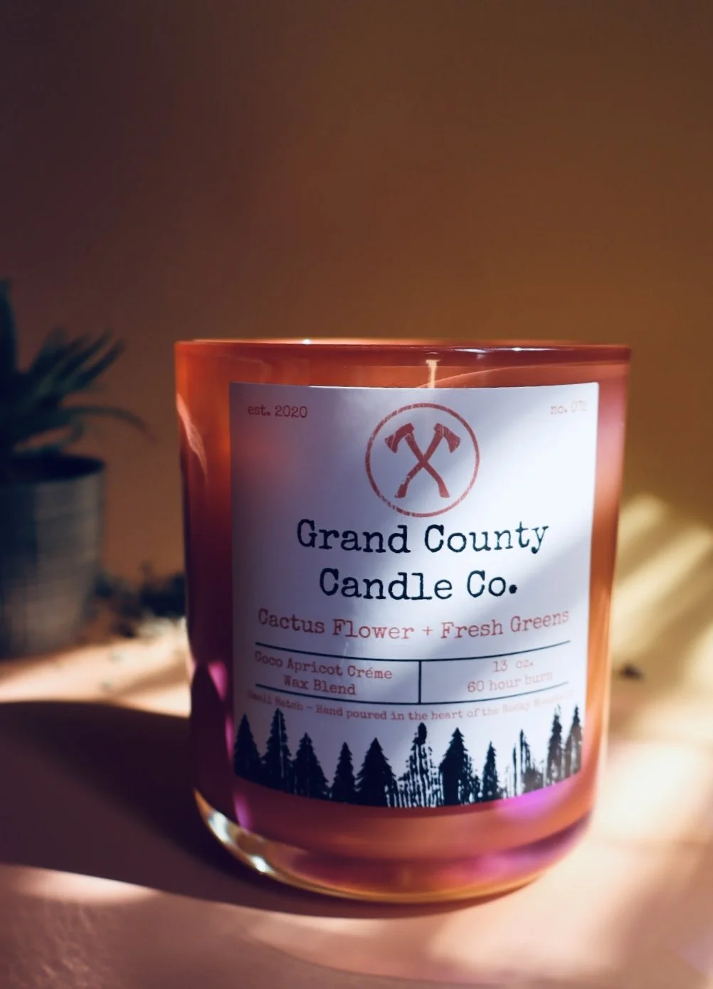 Cactus Flower + Greens