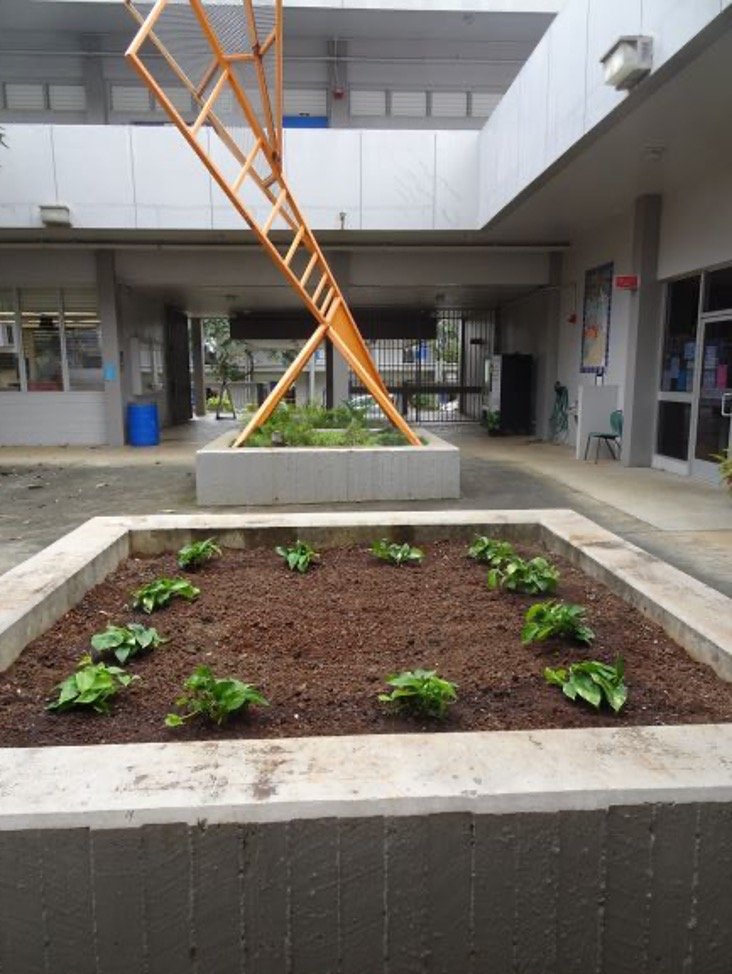 H-Building-Courtyard-Renovation-Project.jpg
